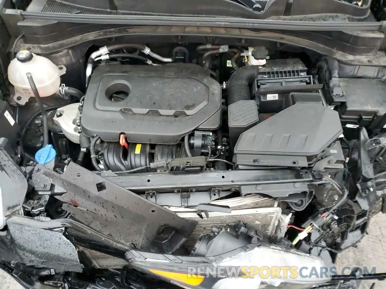 12 Photograph of a damaged car KNDPMCAC9N7025829 KIA SPORTAGE 2022