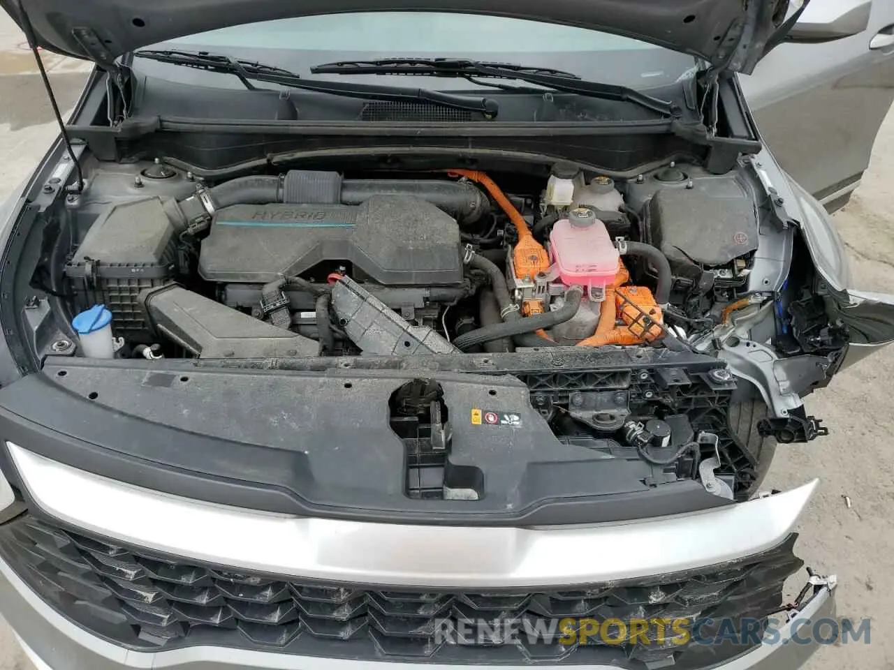 12 Фотография поврежденного автомобиля KNDPUCAG6P7029990 KIA SPORTAGE 2023