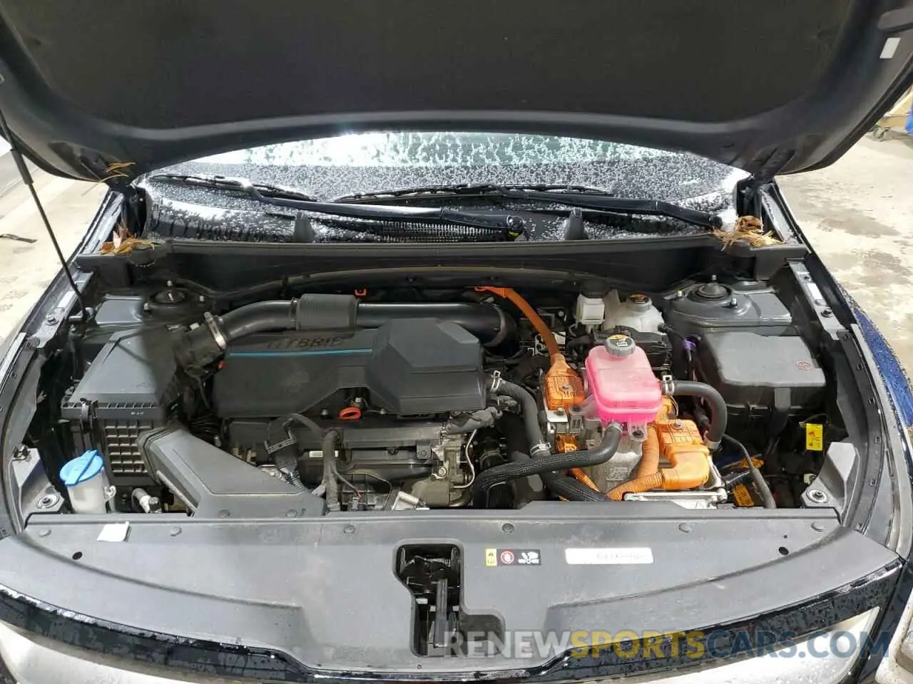 12 Фотография поврежденного автомобиля KNDPXCAGXP7062479 KIA SPORTAGE 2023