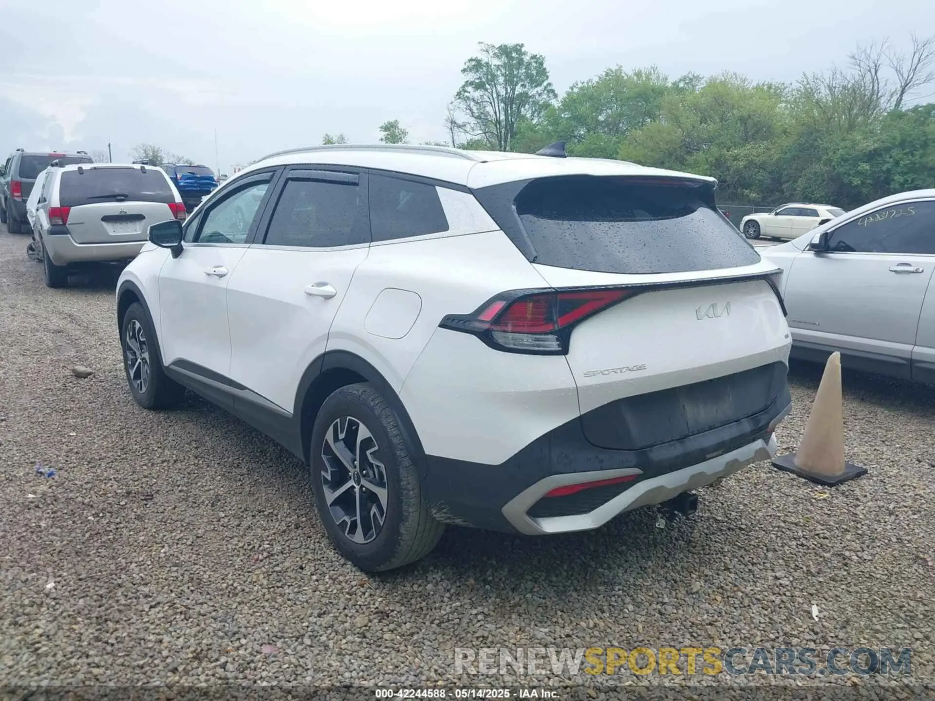 3 Фотография поврежденного автомобиля 5XYK3CDF2RG183800 KIA SPORTAGE 2024