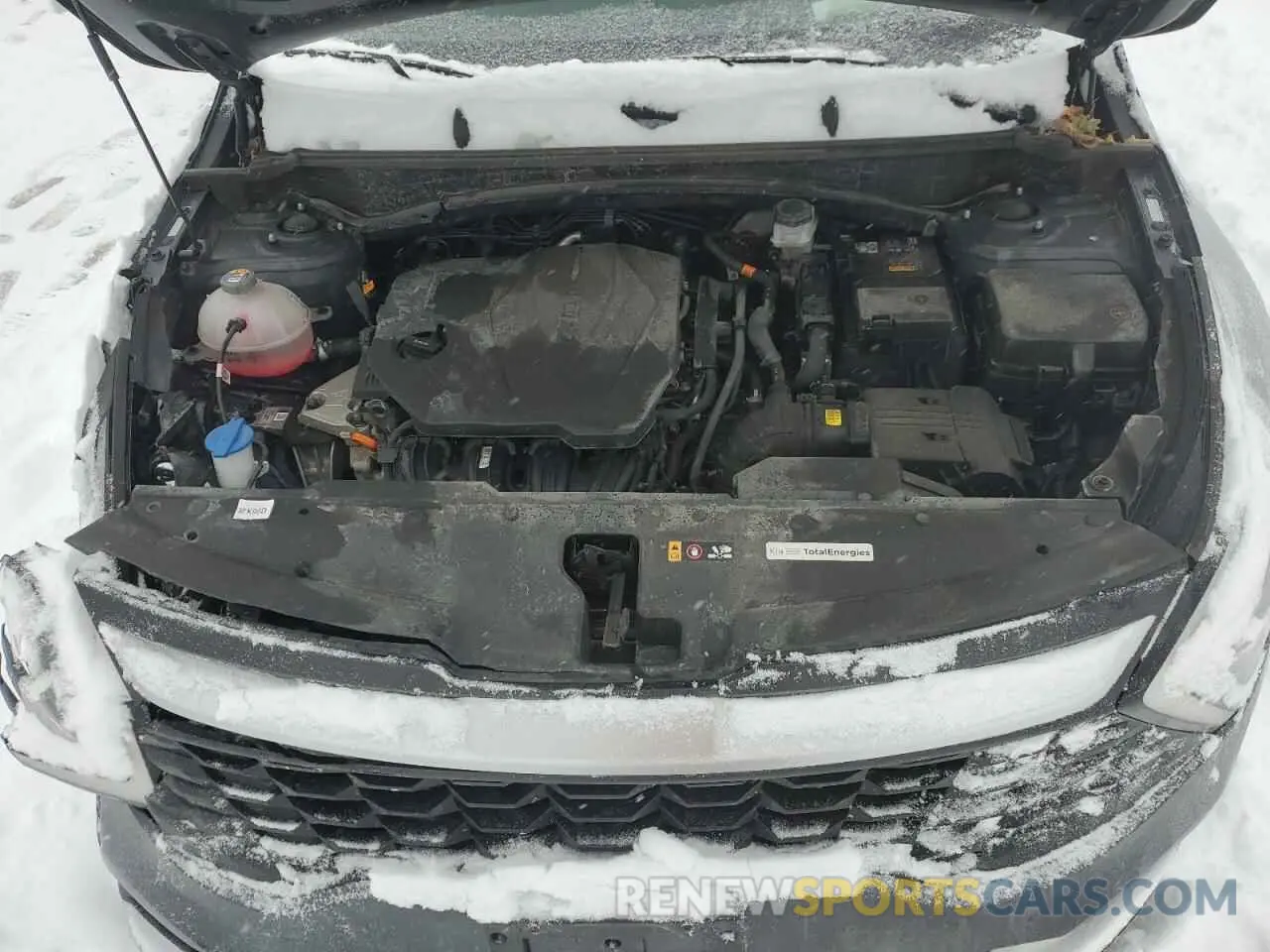 14 Фотография поврежденного автомобиля KNDPUCDF2R7243364 KIA SPORTAGE 2024