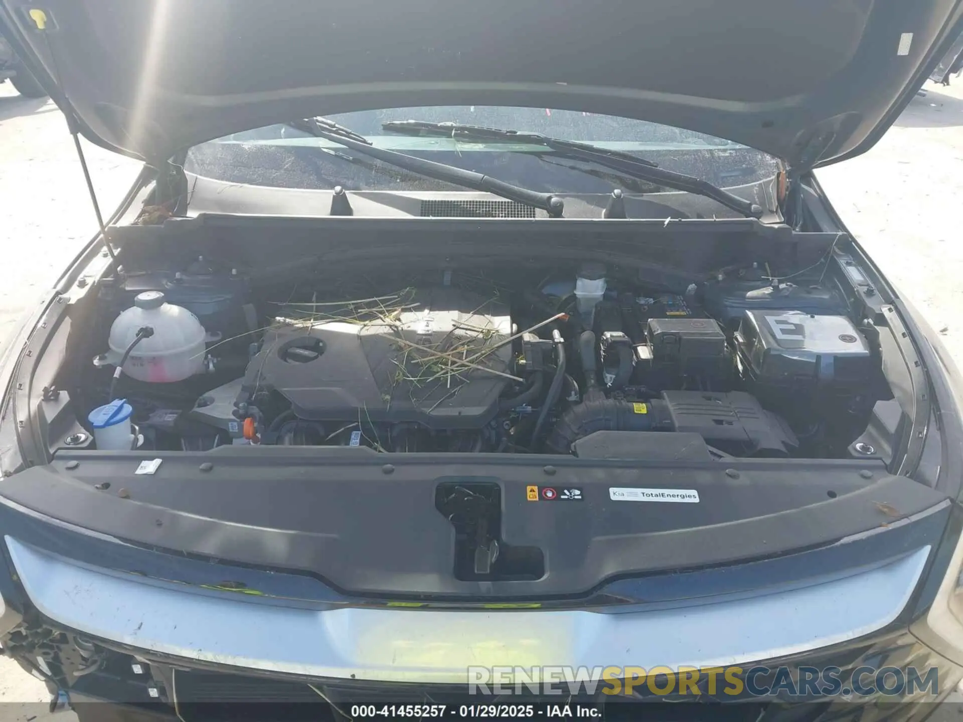 10 Фотография поврежденного автомобиля KNDPV3DF0R7254926 KIA SPORTAGE 2024
