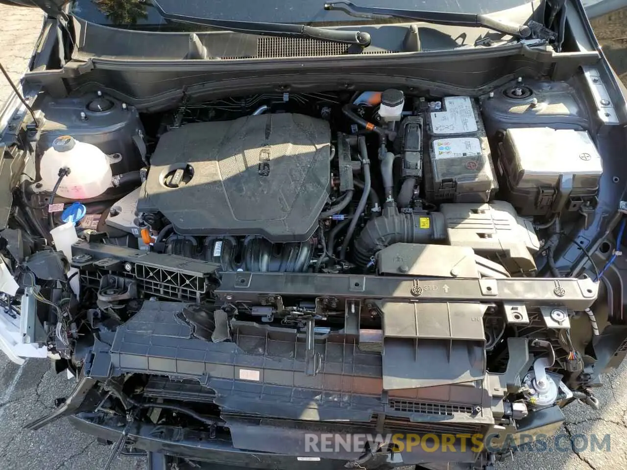 13 Photograph of a damaged car KNDPV3DF6S7372162 KIA SPORTAGE 2025