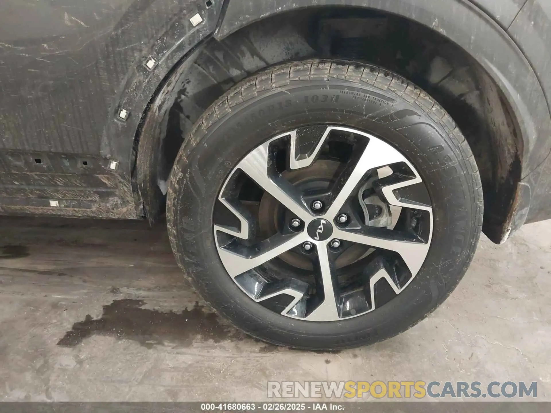 12 Фотография поврежденного автомобиля KNDPVCDGXR7162828 KIA SPORTAGE HYBRID 2024