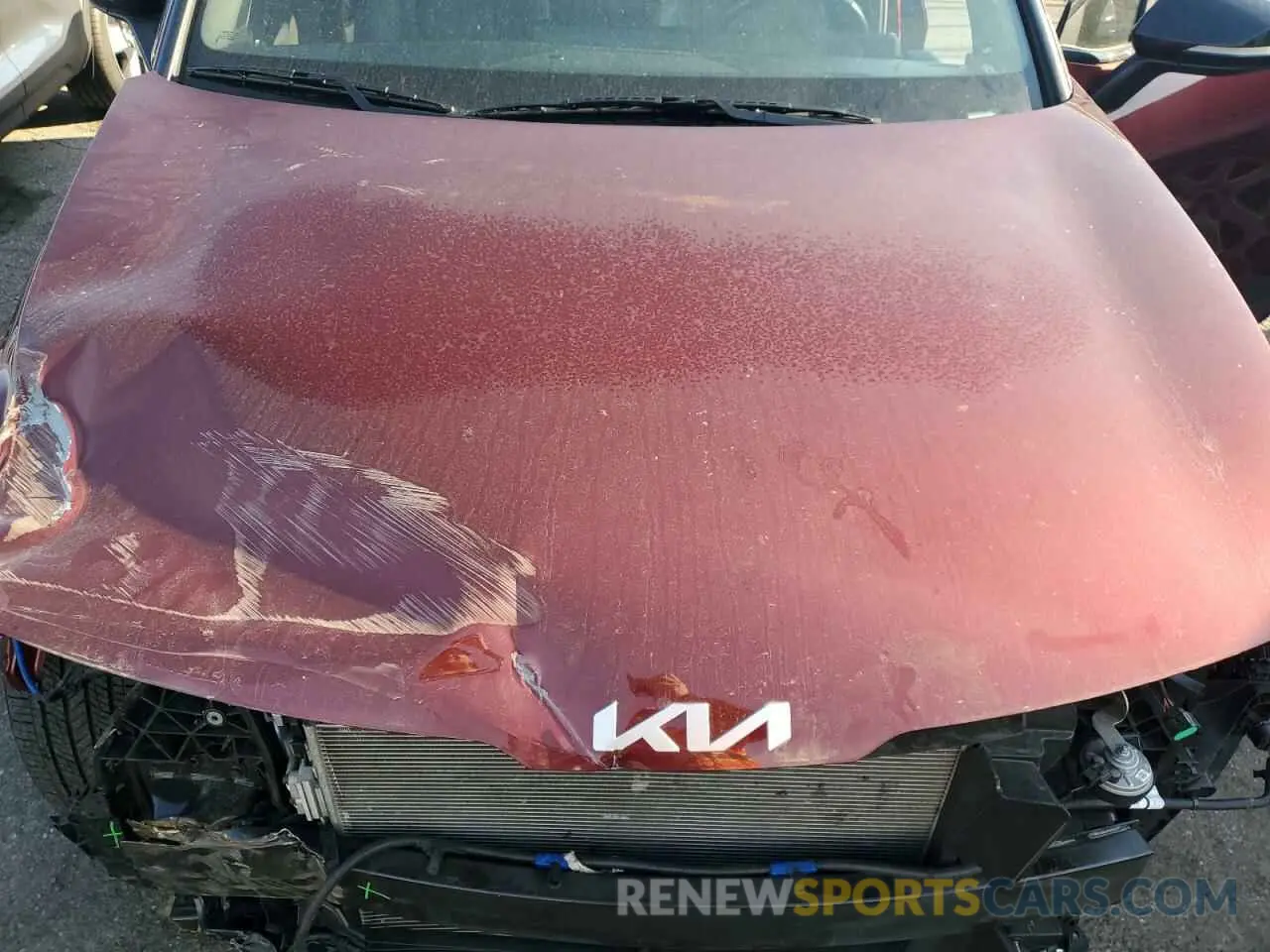 12 Photograph of a damaged car 5XYK6CAF3PG071340 KIA SPORTAGE X 2023
