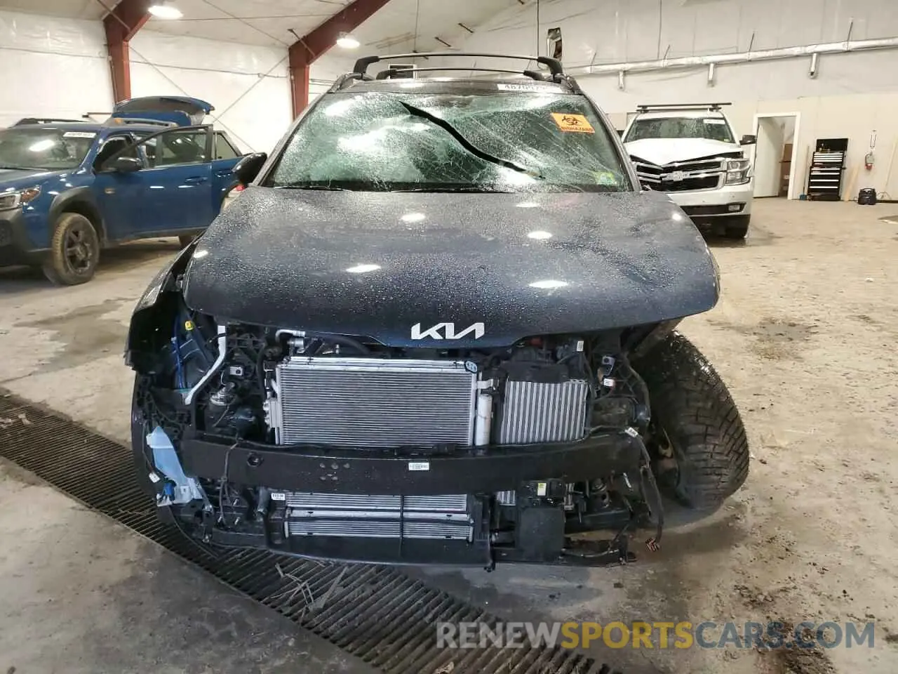5 Photograph of a damaged car KNDPYDDHXR7153892 KIA SPORTAGE X 2024