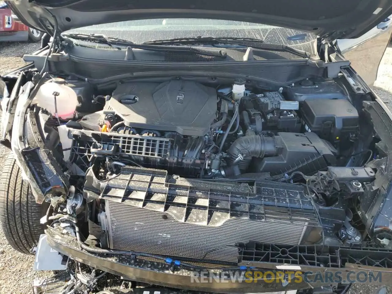 13 Фотография поврежденного автомобиля 5XYK6CDF4SG239748 KIA SPORTAGE X 2025