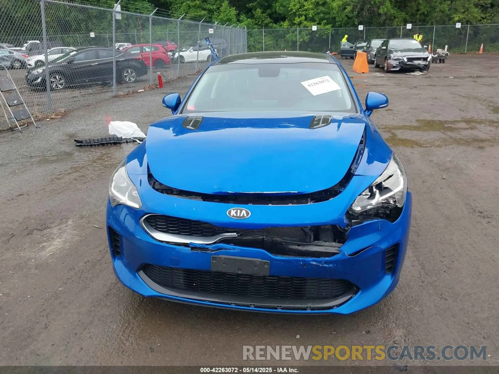 12 Photograph of a damaged car KNAE15LA1K6059284 KIA STINGER 2019