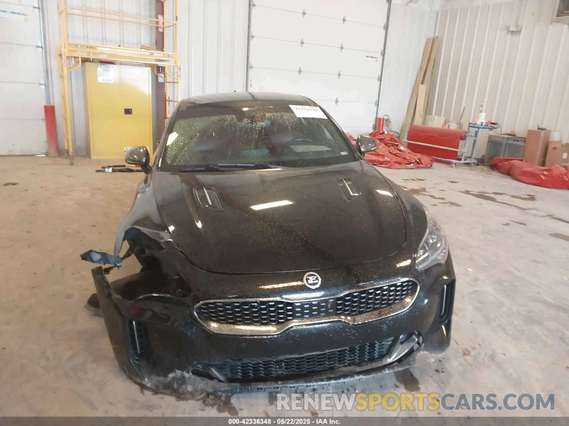 12 Photograph of a damaged car KNAE55LC8K6049096 KIA STINGER 2019