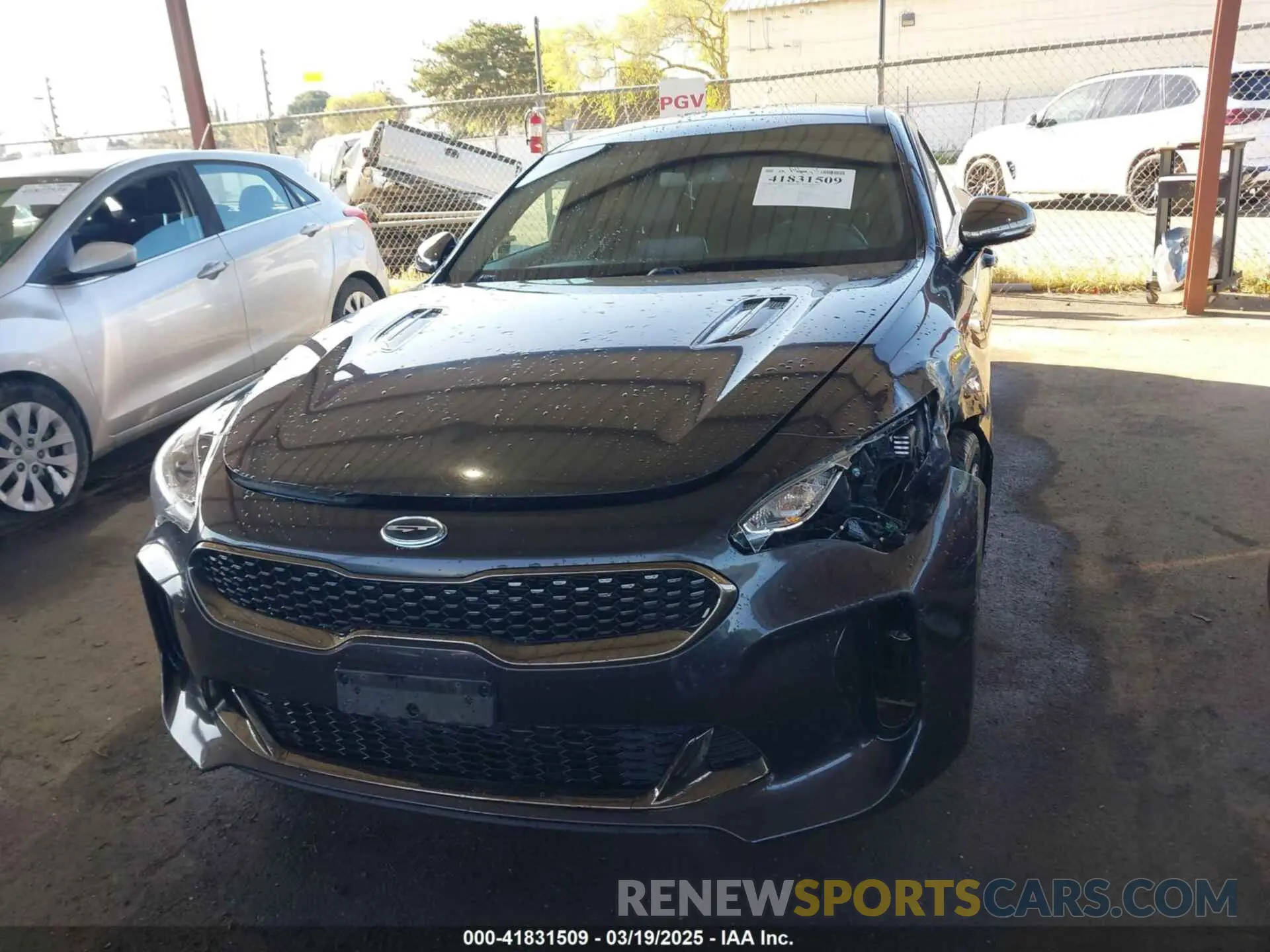 12 Photograph of a damaged car KNAE15LA7L6074843 KIA STINGER 2020