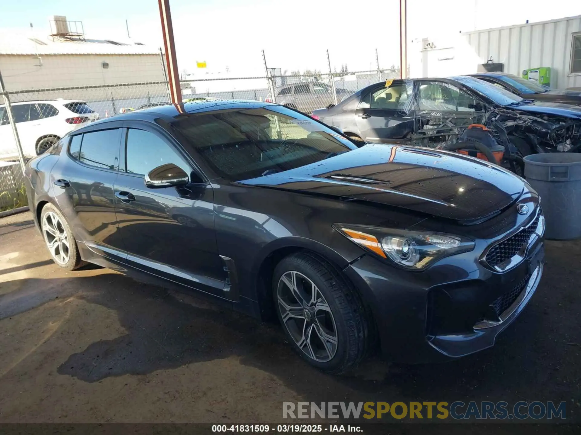13 Photograph of a damaged car KNAE15LA7L6074843 KIA STINGER 2020