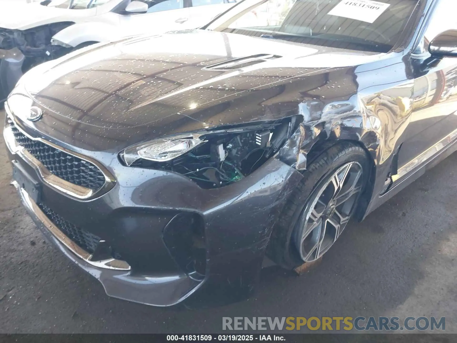 6 Photograph of a damaged car KNAE15LA7L6074843 KIA STINGER 2020