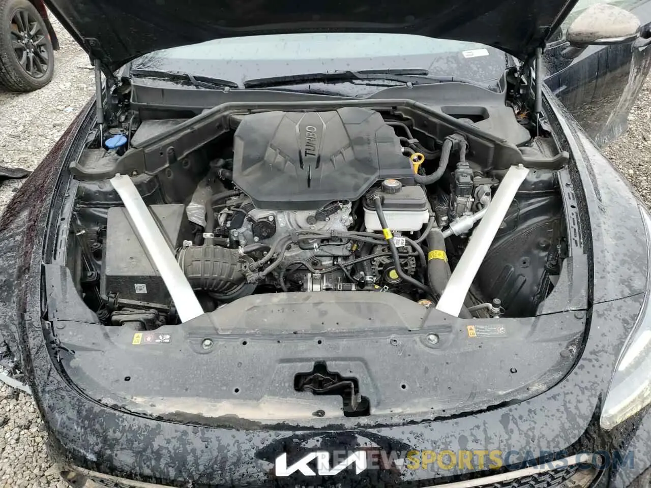11 Фотография поврежденного автомобиля KNAE35LD9P6125169 KIA STINGER 2023