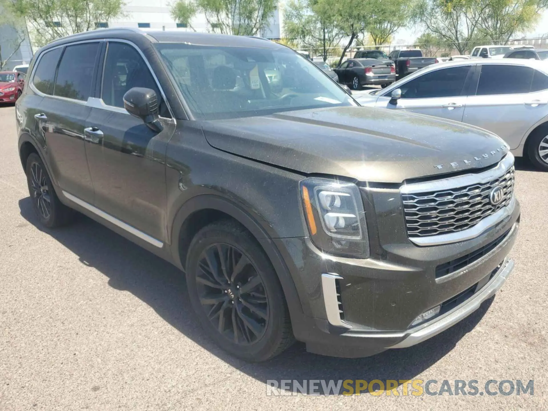 12 Photograph of a damaged car 5XYP54HC9LG037228 KIA TELLURIDE 2020