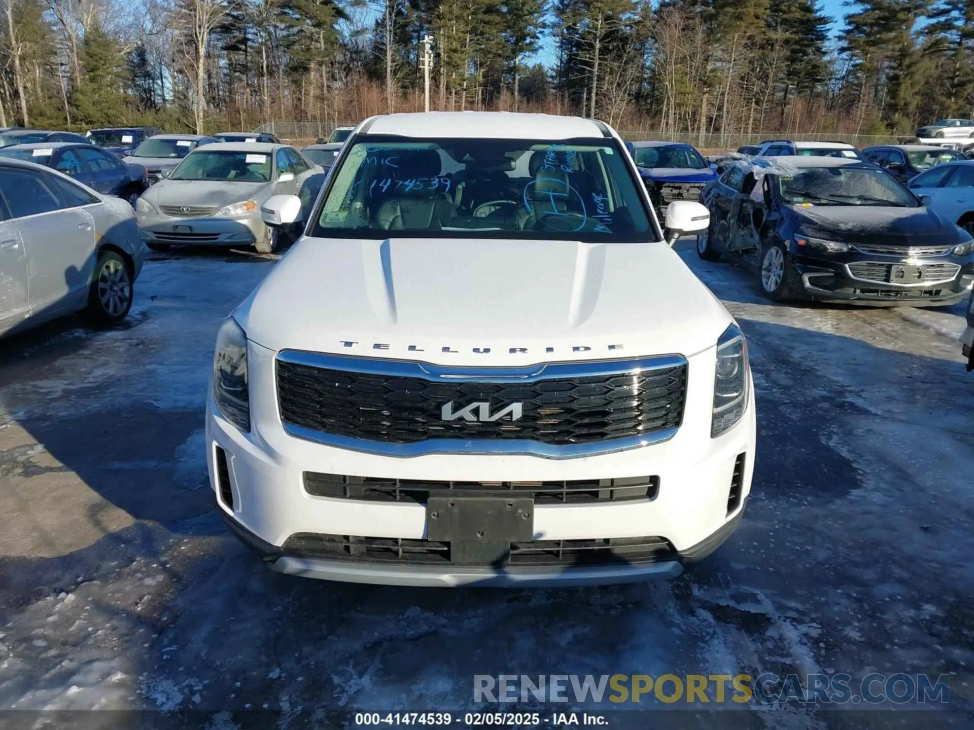 12 Photograph of a damaged car 5XYP2DHC9NG283319 KIA TELLURIDE 2022