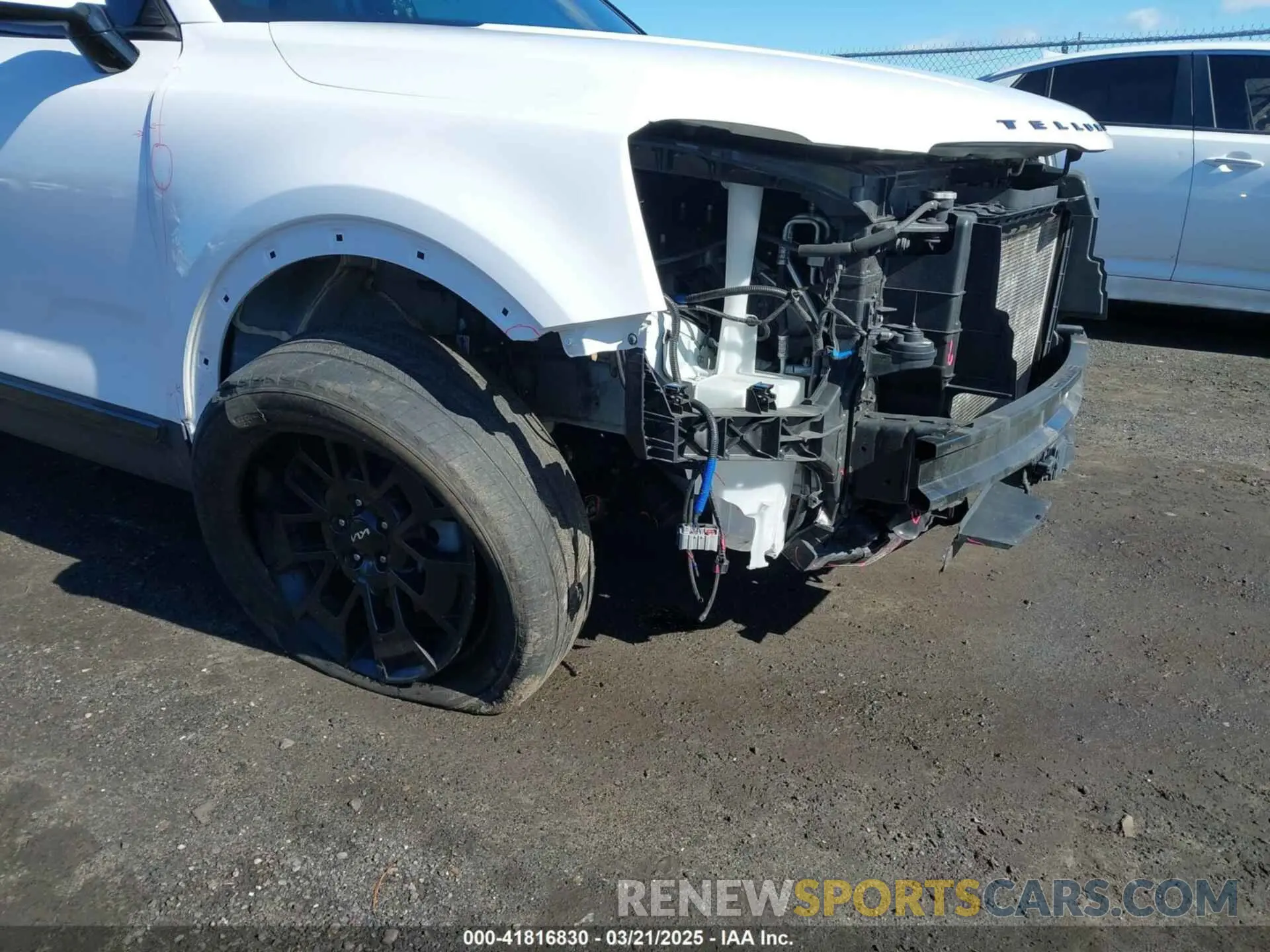 12 Photograph of a damaged car 5XYP5DHC2NG299501 KIA TELLURIDE 2022