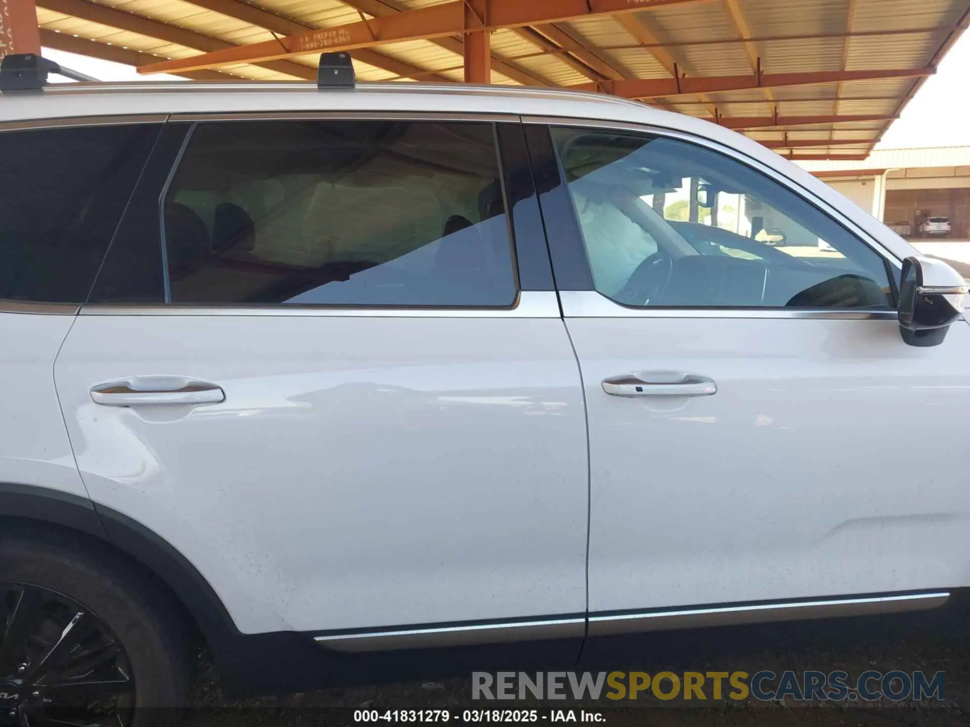 12 Photograph of a damaged car 5XYP5DHC5NG280425 KIA TELLURIDE 2022