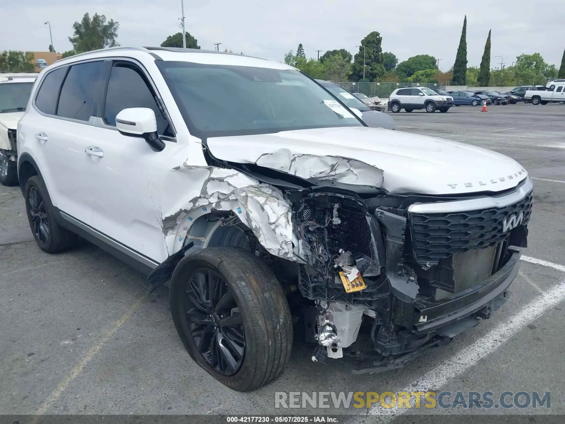 1 Photograph of a damaged car 5XYP5DHC9NG247668 KIA TELLURIDE 2022
