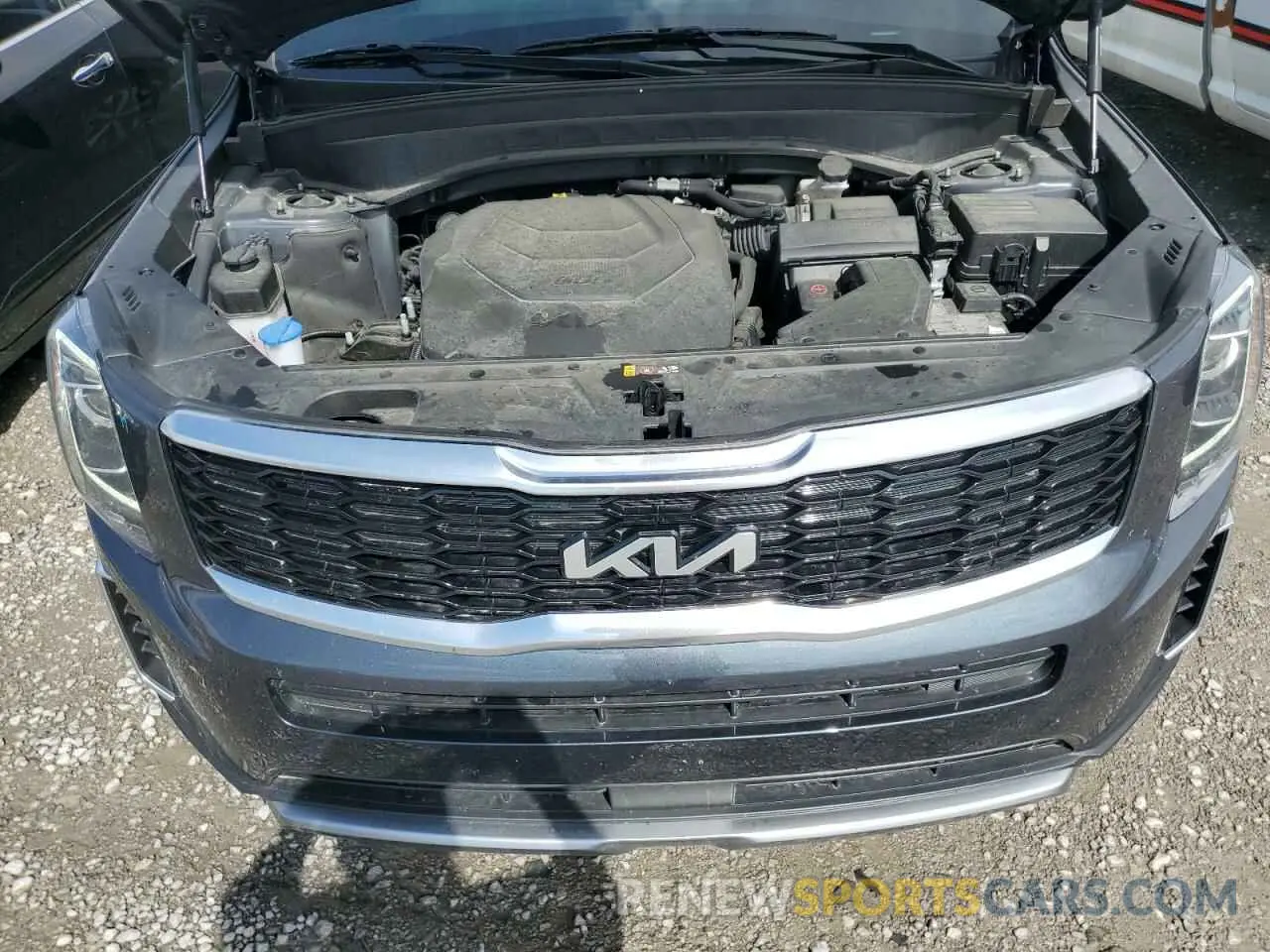 12 Photograph of a damaged car 5XYP64HC6NG245499 KIA TELLURIDE 2022