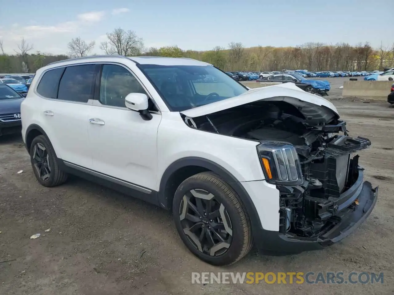 4 Фотография поврежденного автомобиля 5XYP6DGC0PG384872 KIA TELLURIDE 2023