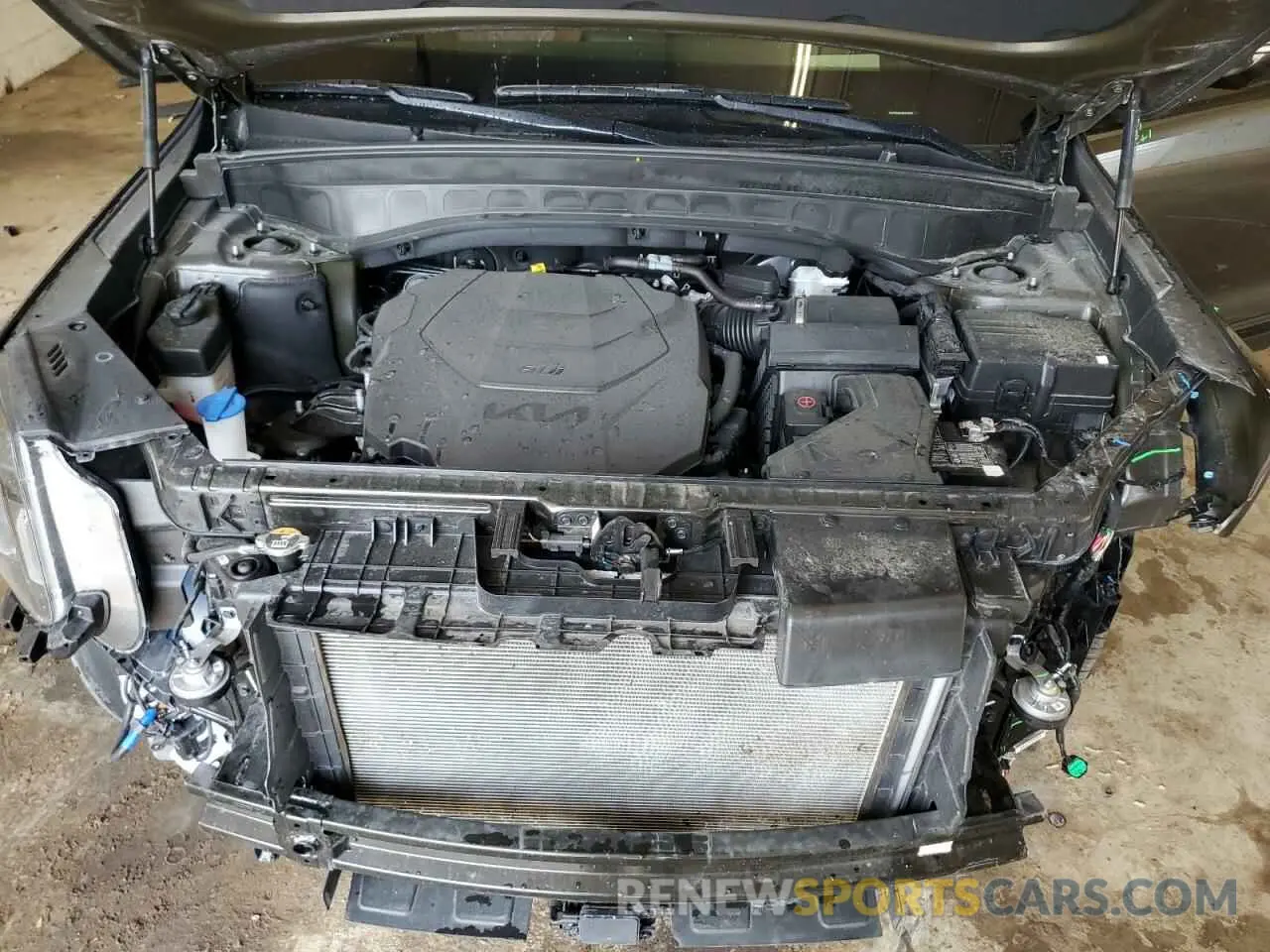 12 Photograph of a damaged car 5XYP5DGC4RG449552 KIA TELLURIDE 2024