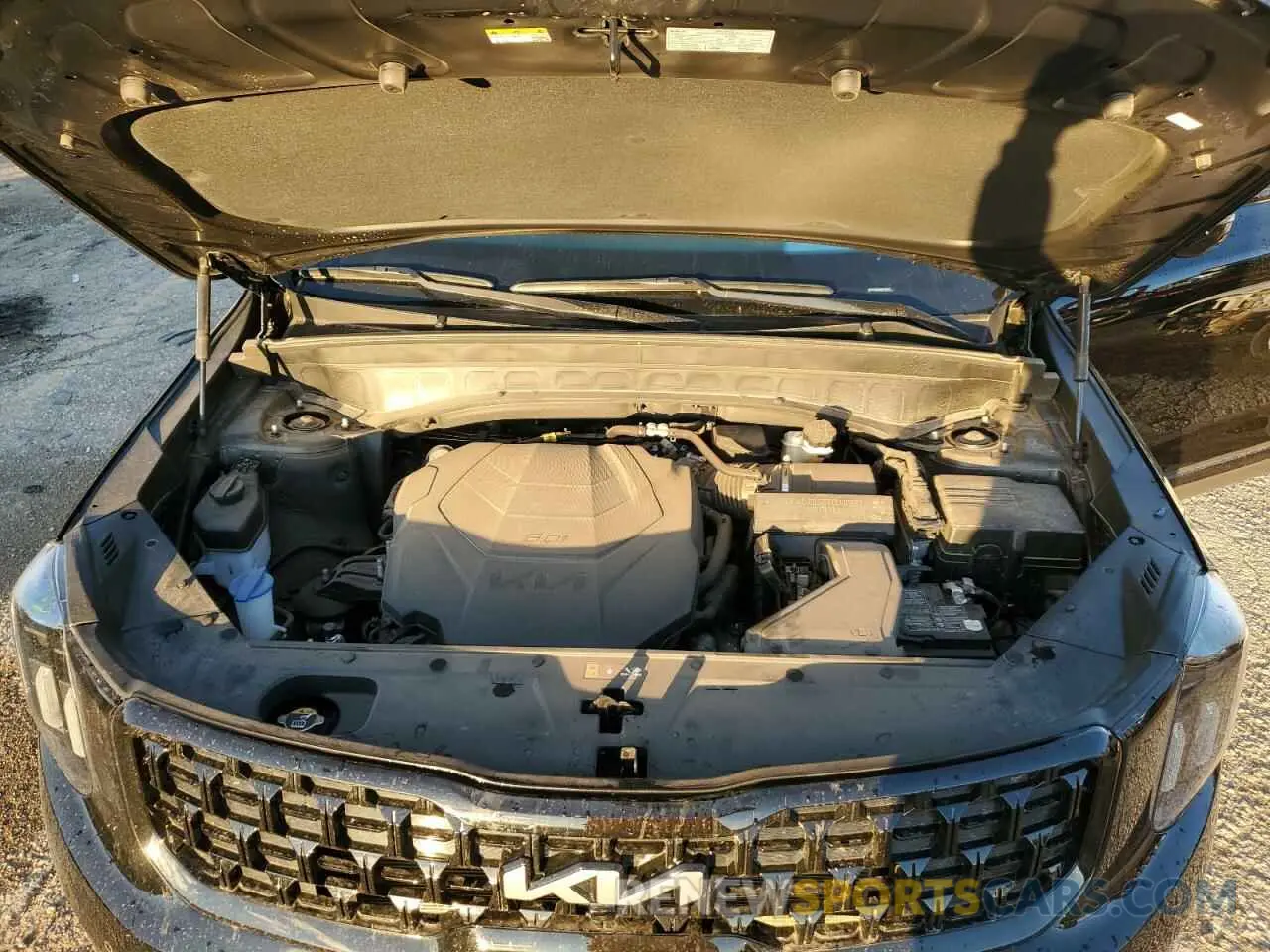 12 Photograph of a damaged car 5XYP5DGC6RG478325 KIA TELLURIDE 2024