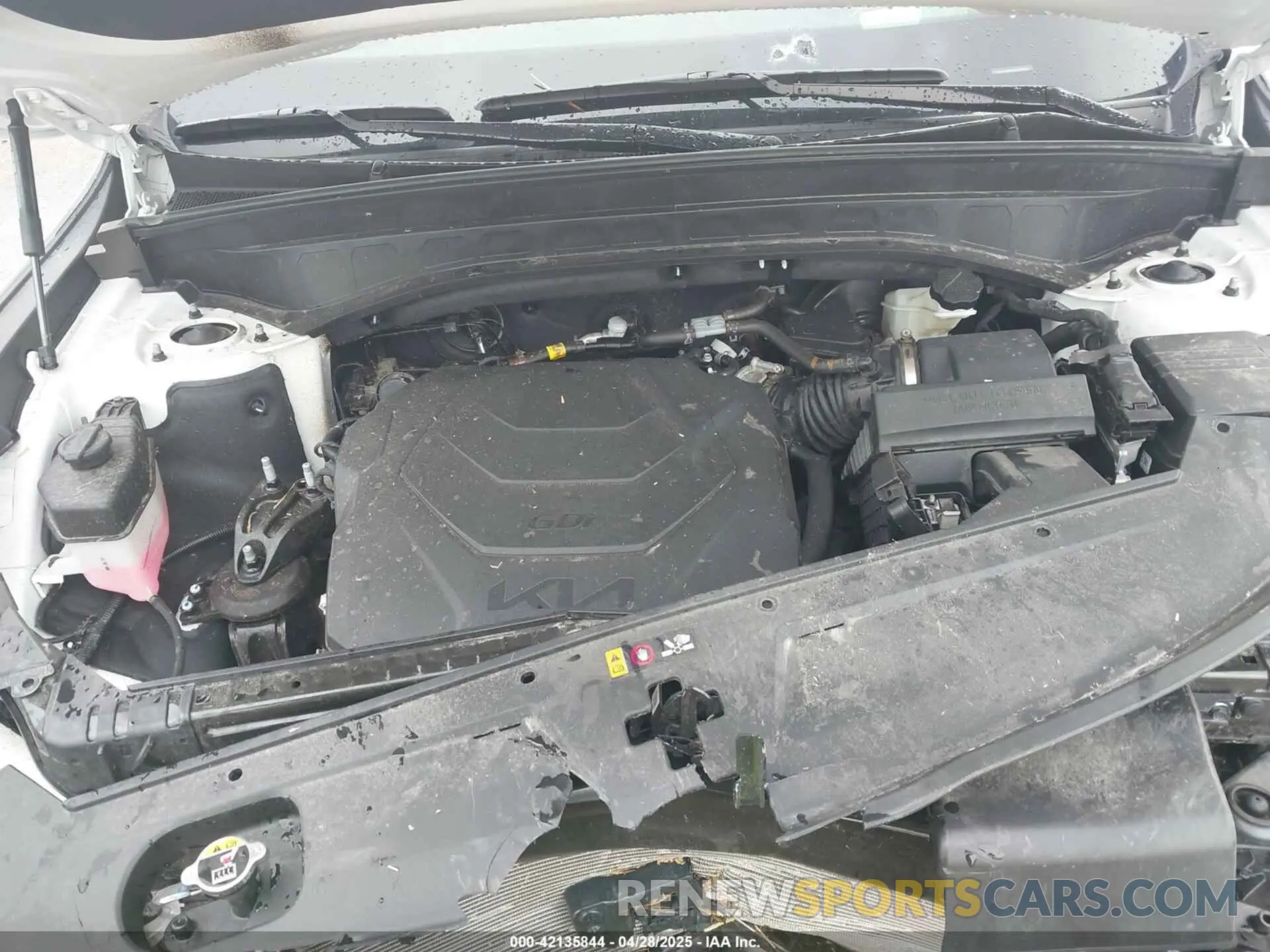 10 Photograph of a damaged car 5XYP5DGC6RG538930 KIA TELLURIDE 2024
