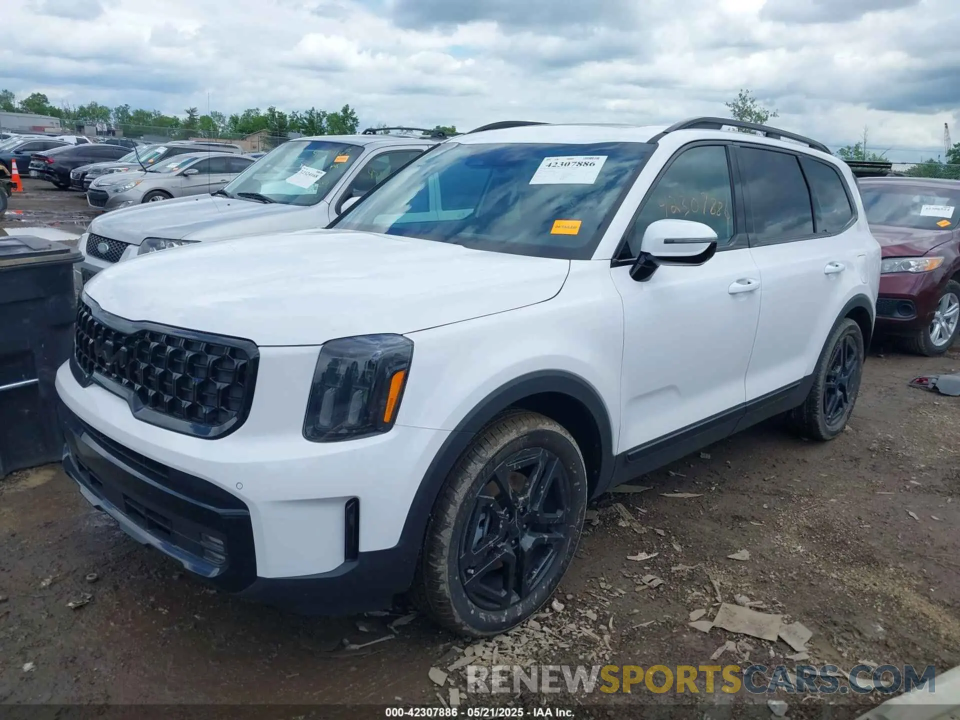 2 Фотография поврежденного автомобиля 5XYP5DGC6SG626544 KIA TELLURIDE 2025