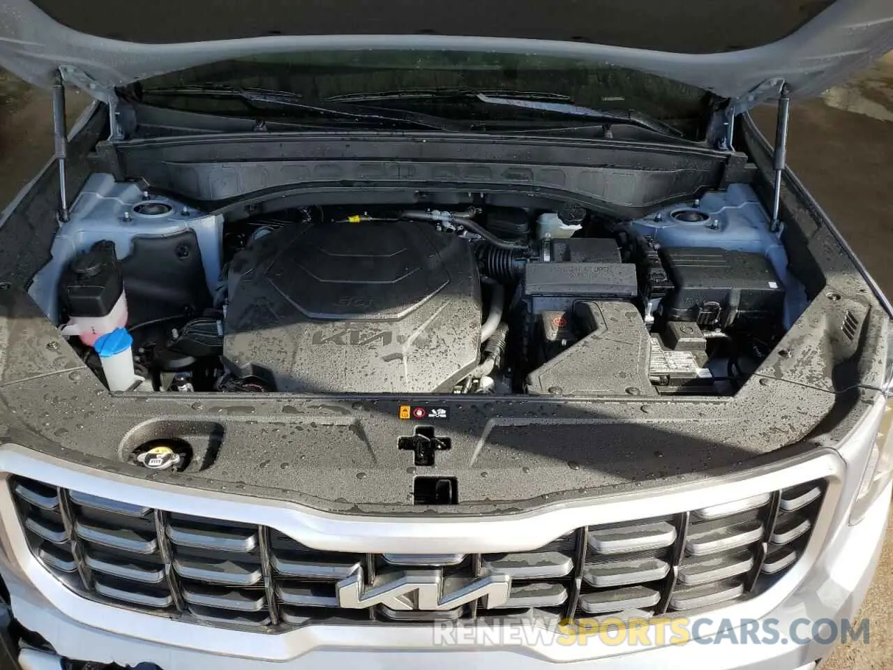 12 Photograph of a damaged car 5XYP6DGC6SG587659 KIA TELLURIDE 2025