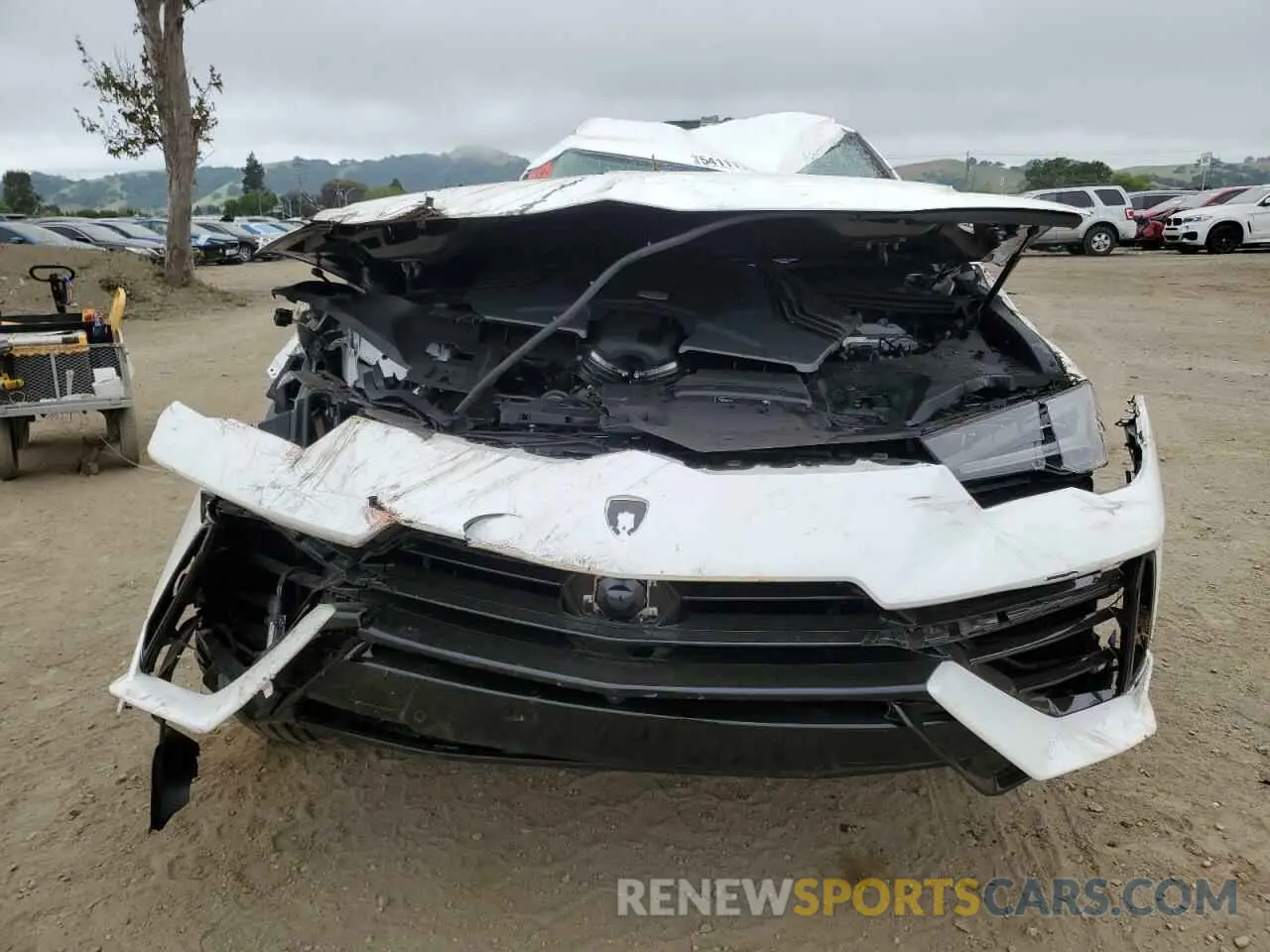 5 Photograph of a damaged car ZPBUB3ZL7RLA33480 LAMBORGHINI URUS S 2024