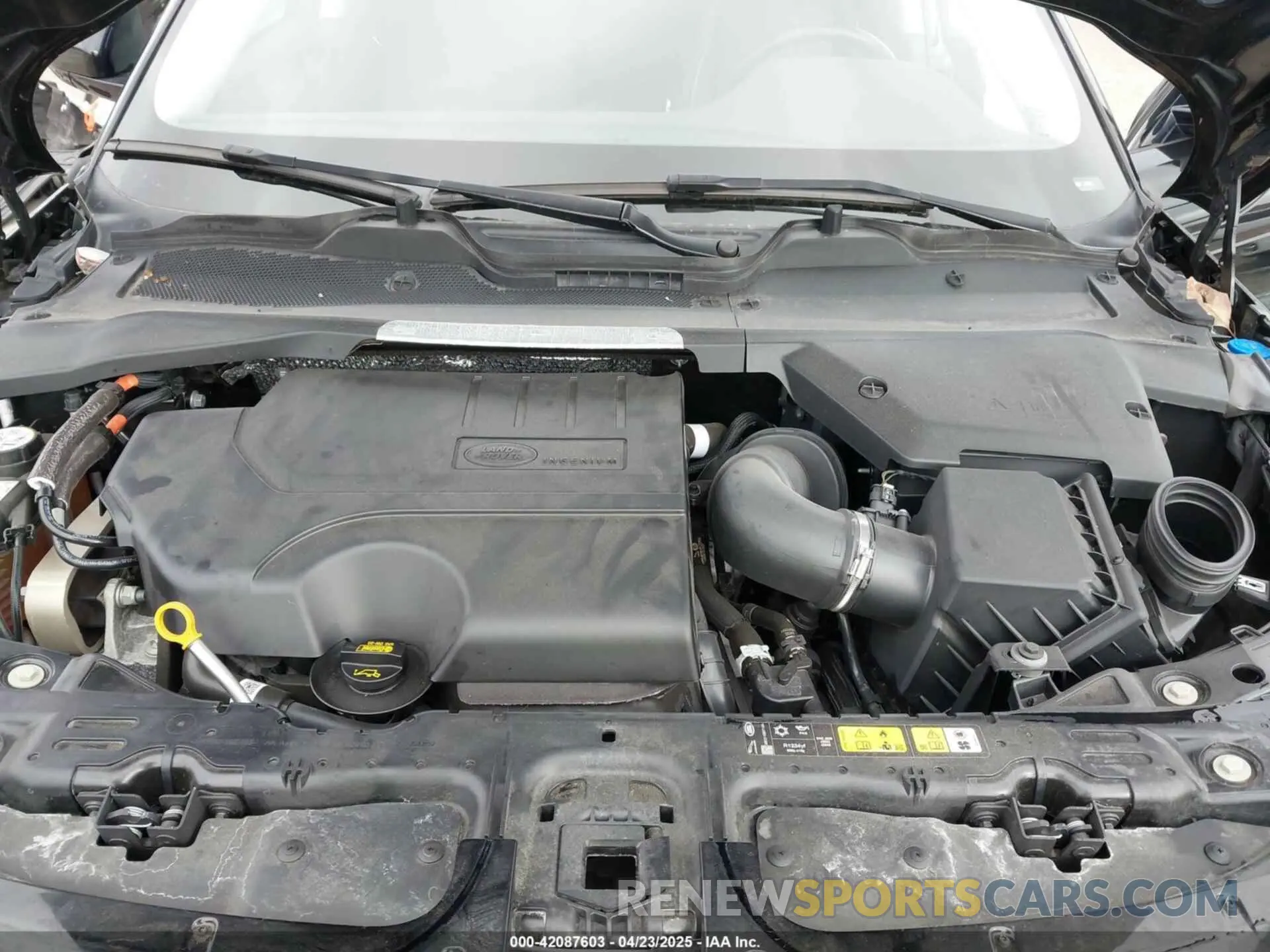 10 Фотография поврежденного автомобиля SALZP2FX6PH203711 LAND ROVER RANGE ROVER EVOQUE 2023