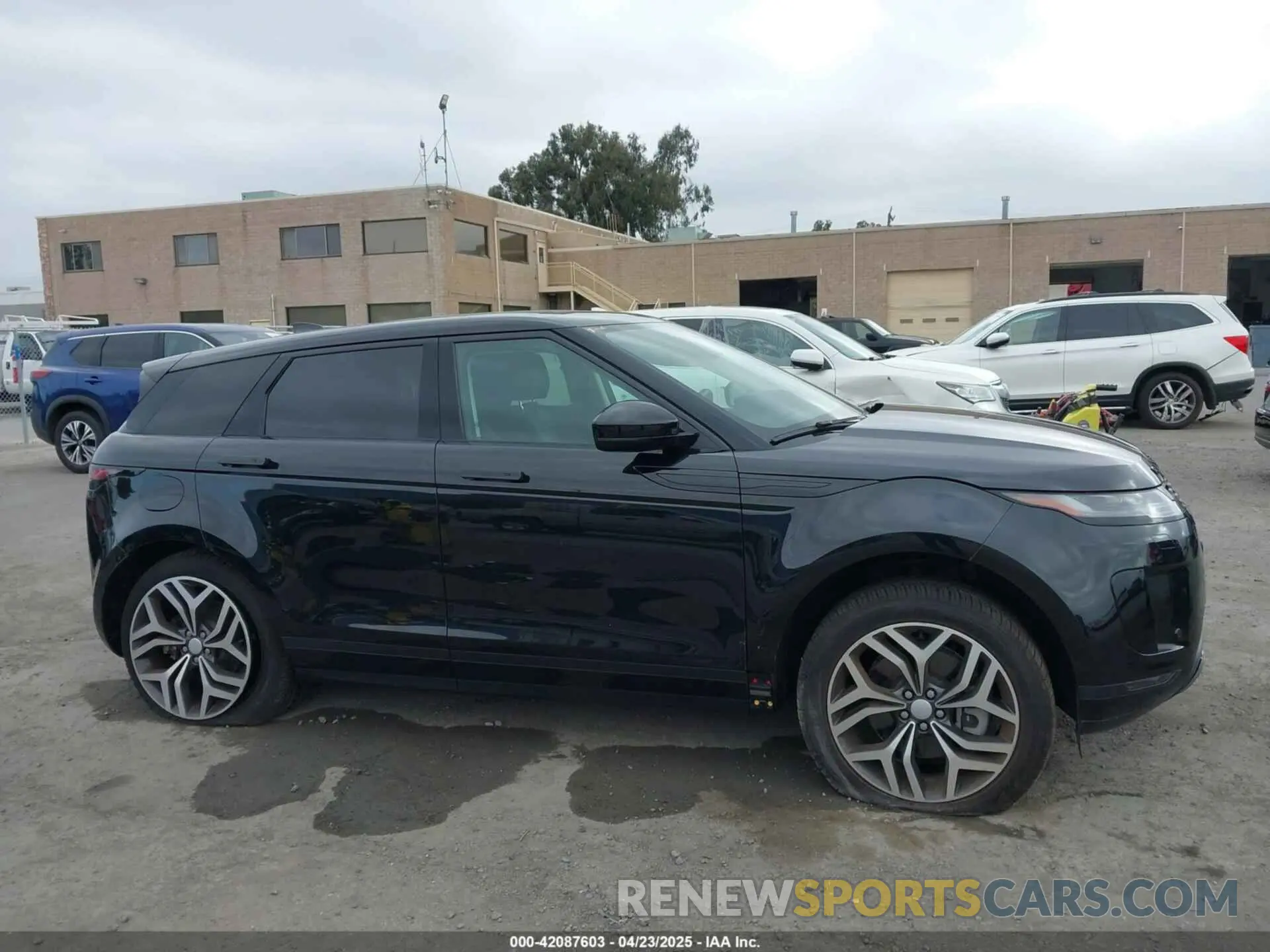 13 Фотография поврежденного автомобиля SALZP2FX6PH203711 LAND ROVER RANGE ROVER EVOQUE 2023
