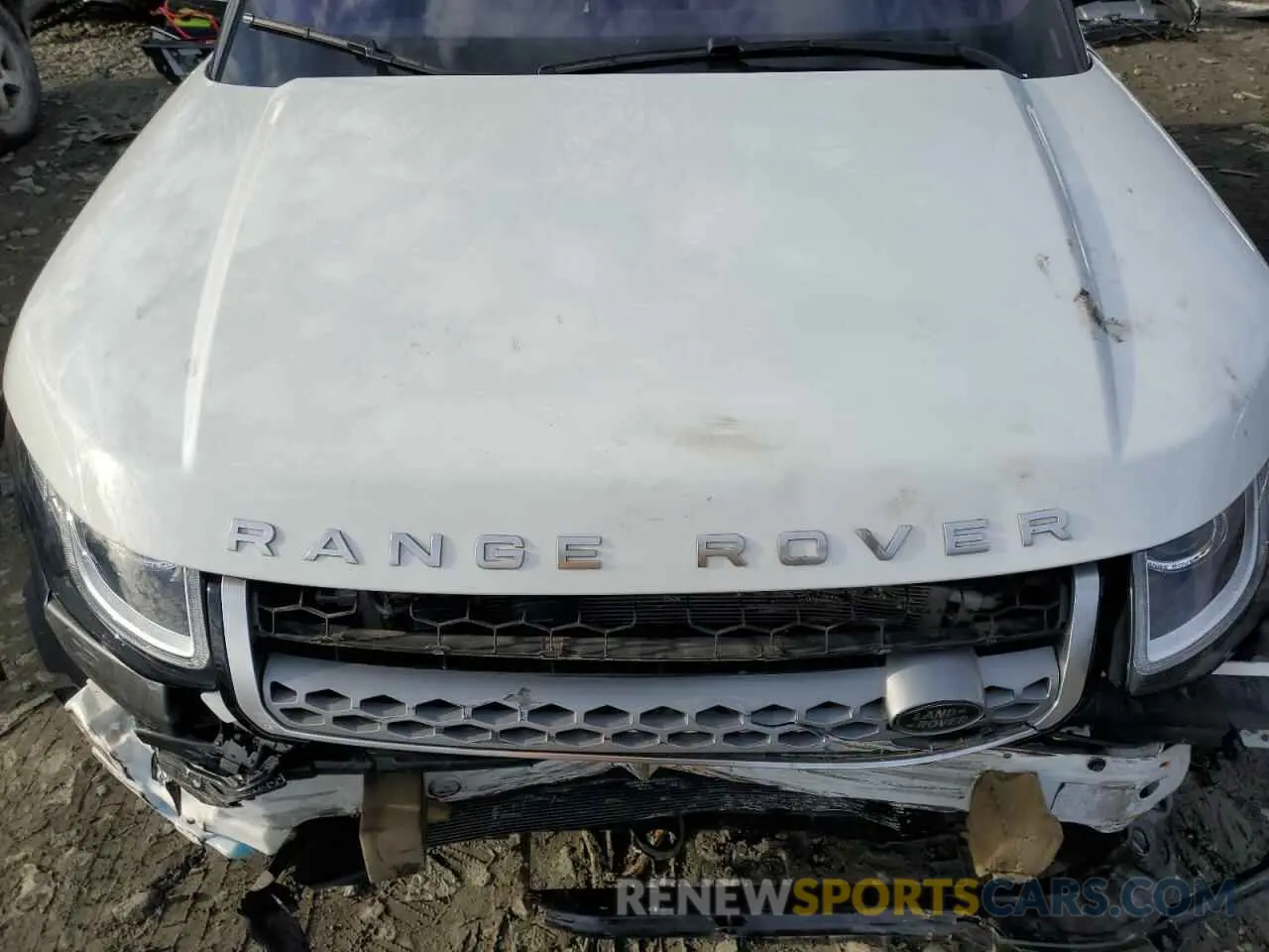 12 Photograph of a damaged car SALVP2RX2KH347405 LAND ROVER RANGEROVER 2019