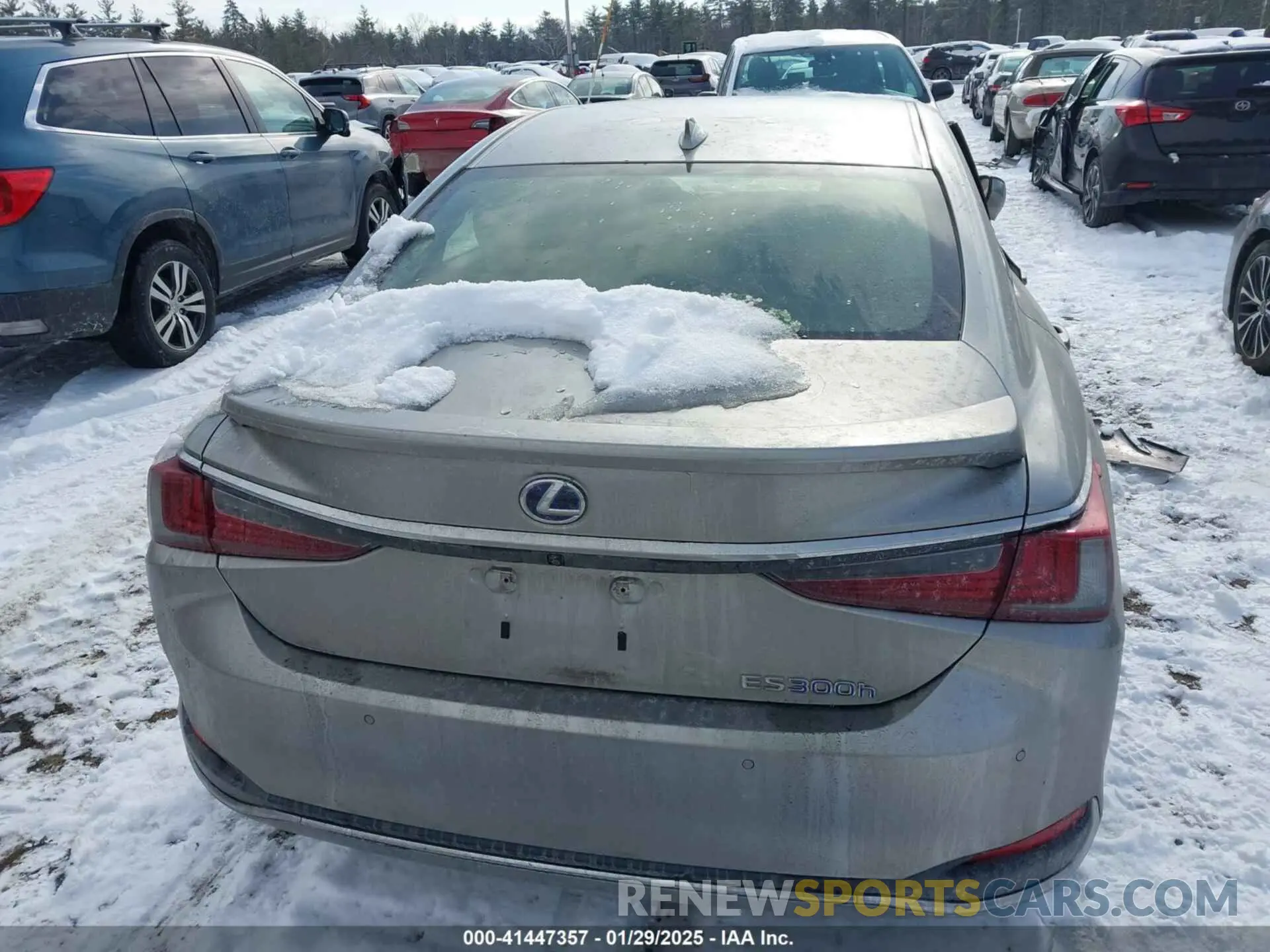 16 Фотография поврежденного автомобиля JTHB21B14K2006405 LEXUS ES 2019