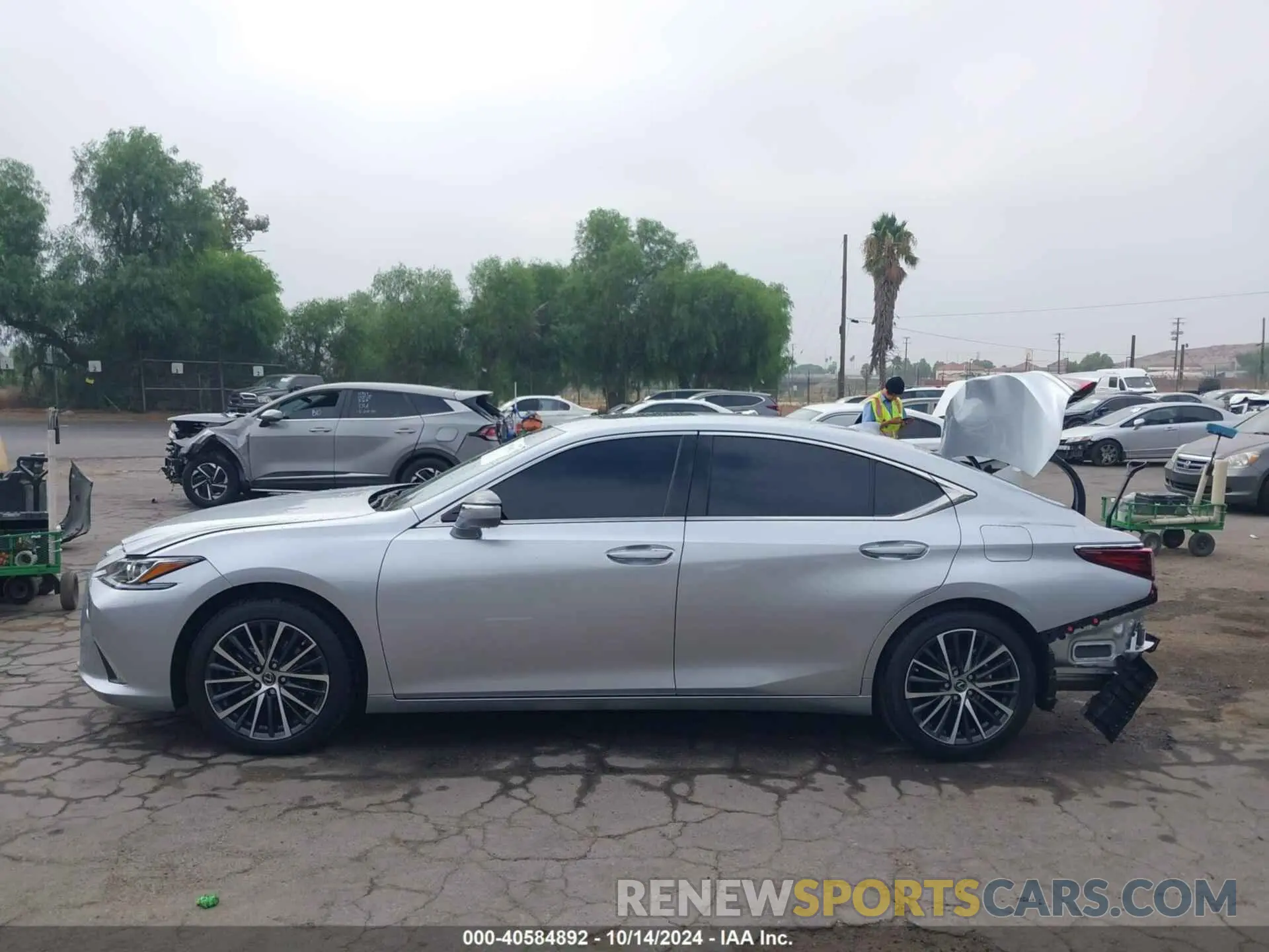 15 Фотография поврежденного автомобиля 58ADZ1B11RU173667 LEXUS ES 2024