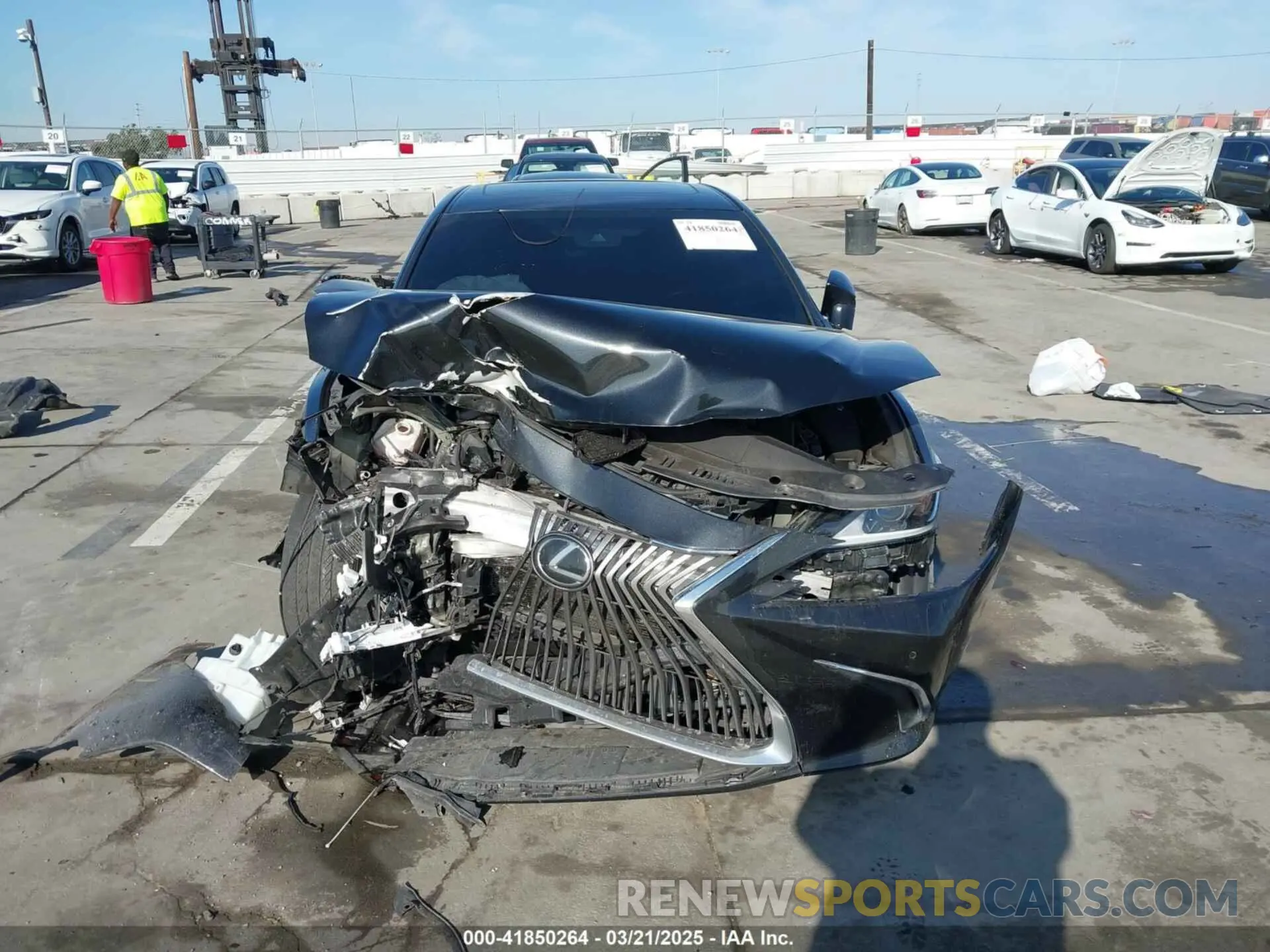 13 Photograph of a damaged car 58AD11D16MU002636 LEXUS ES 250 2021