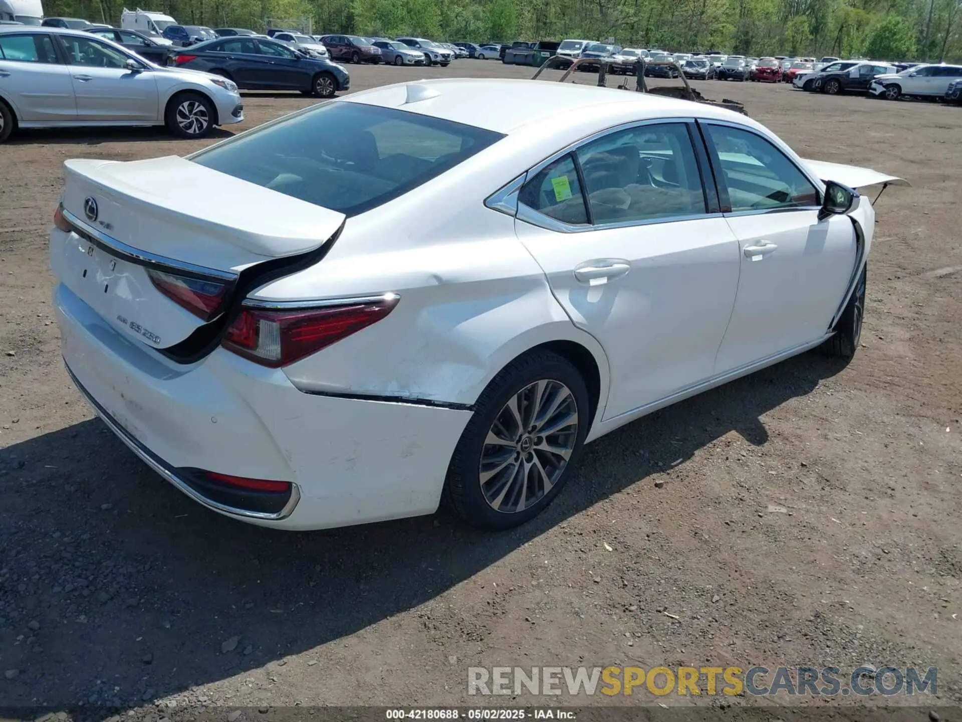 4 Photograph of a damaged car 58AD11D17MU005321 LEXUS ES 250 2021
