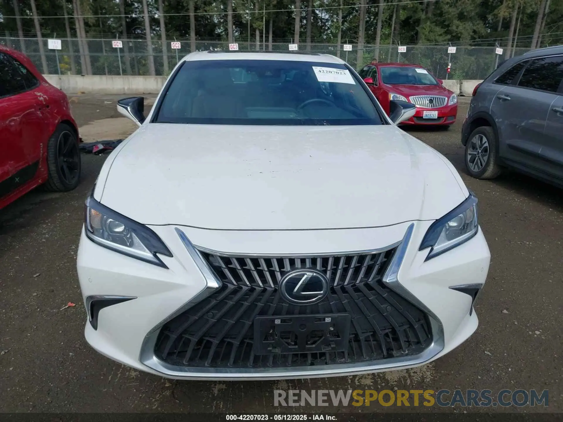 13 Фотография поврежденного автомобиля 58AD11D17RU012342 LEXUS ES 250 2024