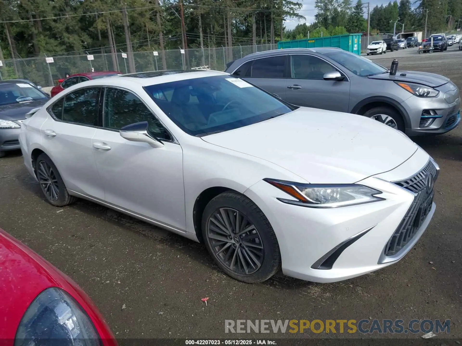 14 Фотография поврежденного автомобиля 58AD11D17RU012342 LEXUS ES 250 2024