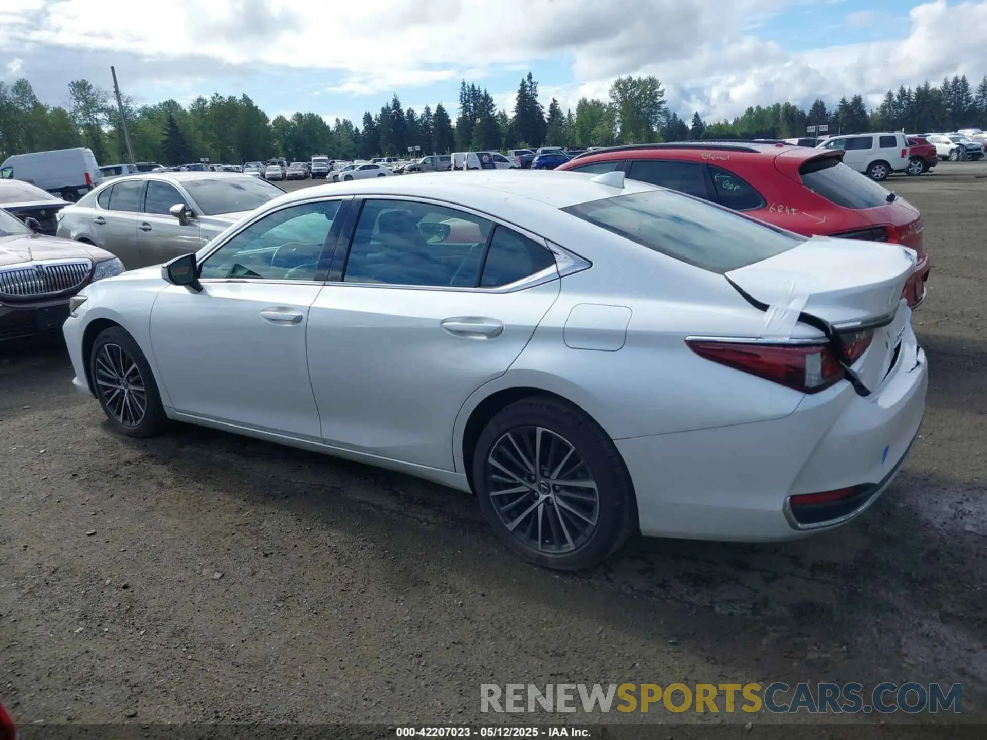 15 Фотография поврежденного автомобиля 58AD11D17RU012342 LEXUS ES 250 2024