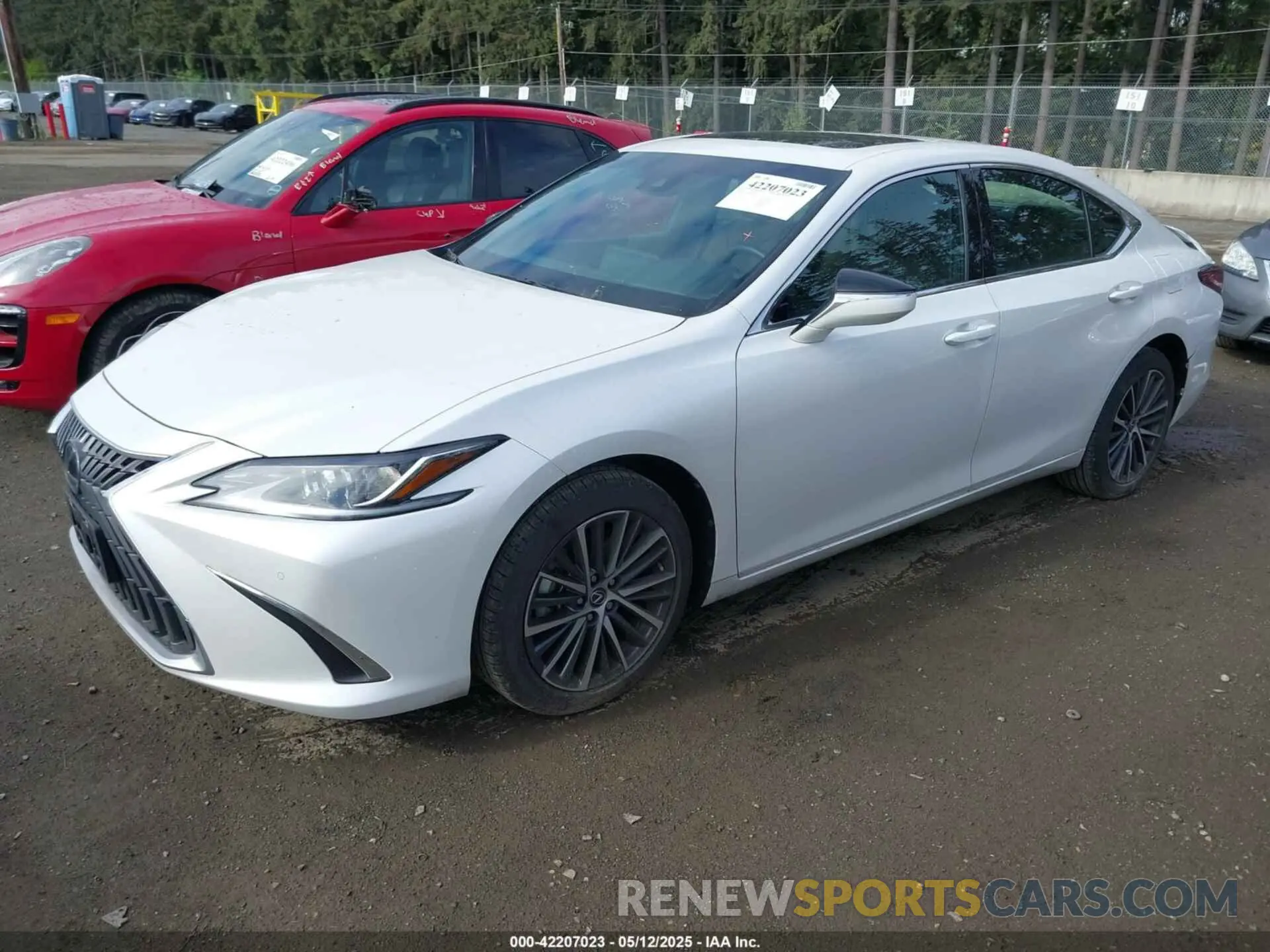 2 Фотография поврежденного автомобиля 58AD11D17RU012342 LEXUS ES 250 2024