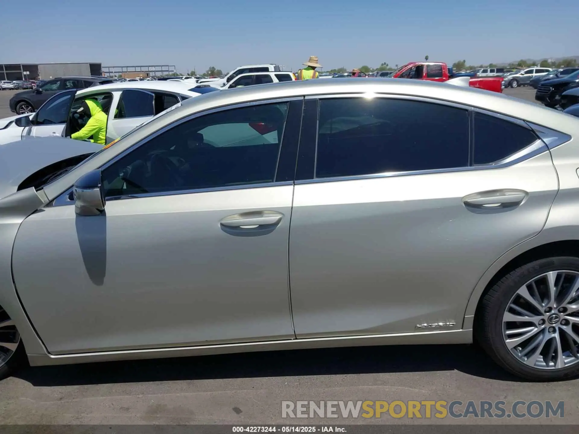 13 Photograph of a damaged car 58AB21B15KU002342 LEXUS ES 300H 2019