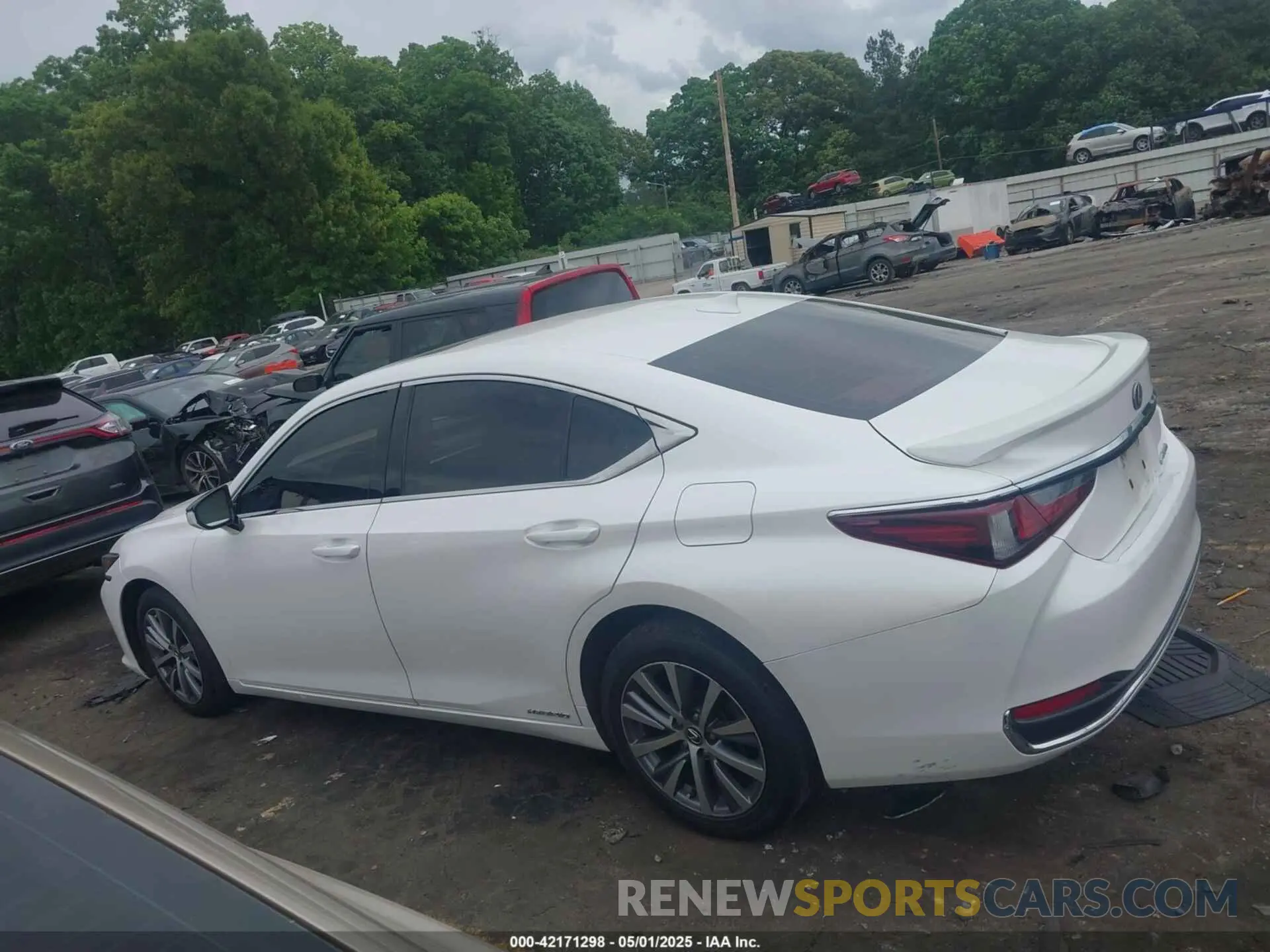 14 Photograph of a damaged car 58AC21B10LU006207 LEXUS ES 300H 2020