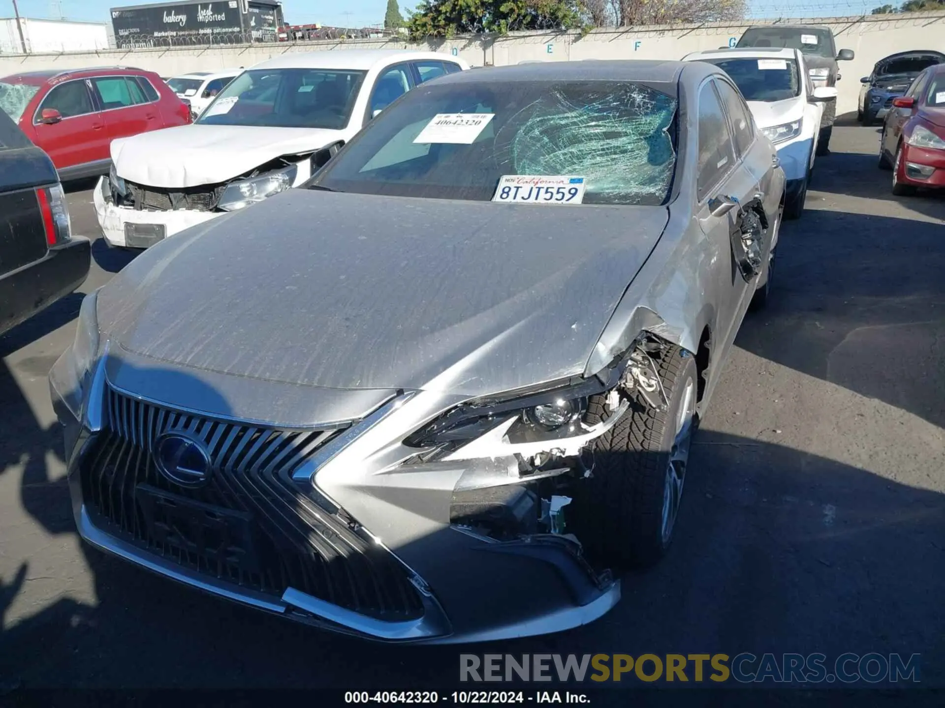 13 Photograph of a damaged car 58ADA1C12MU001260 LEXUS ES 300H 2021