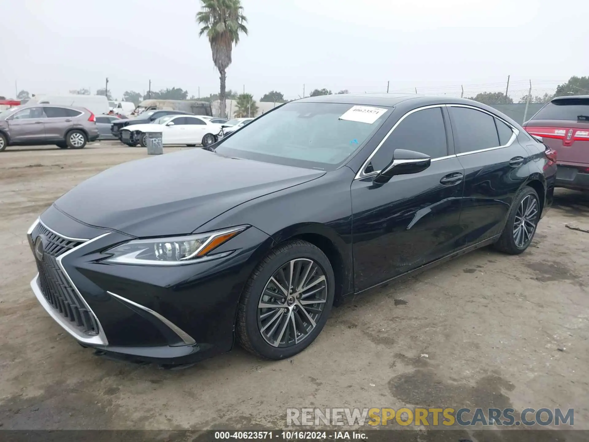 2 Фотография поврежденного автомобиля 58ADA1C11RU045063 LEXUS ES 300H 2024