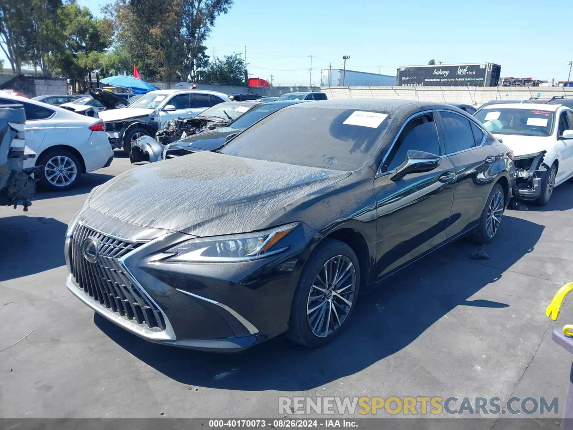 2 Фотография поврежденного автомобиля 58ADA1C12RU040034 LEXUS ES 300H 2024