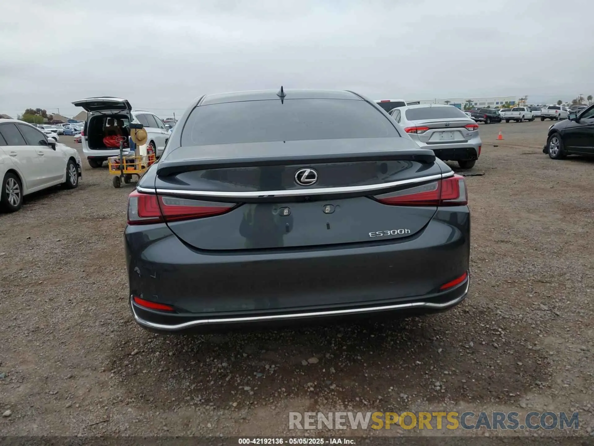 17 Photograph of a damaged car 58ADA1C10SU057257 LEXUS ES 300H 2025