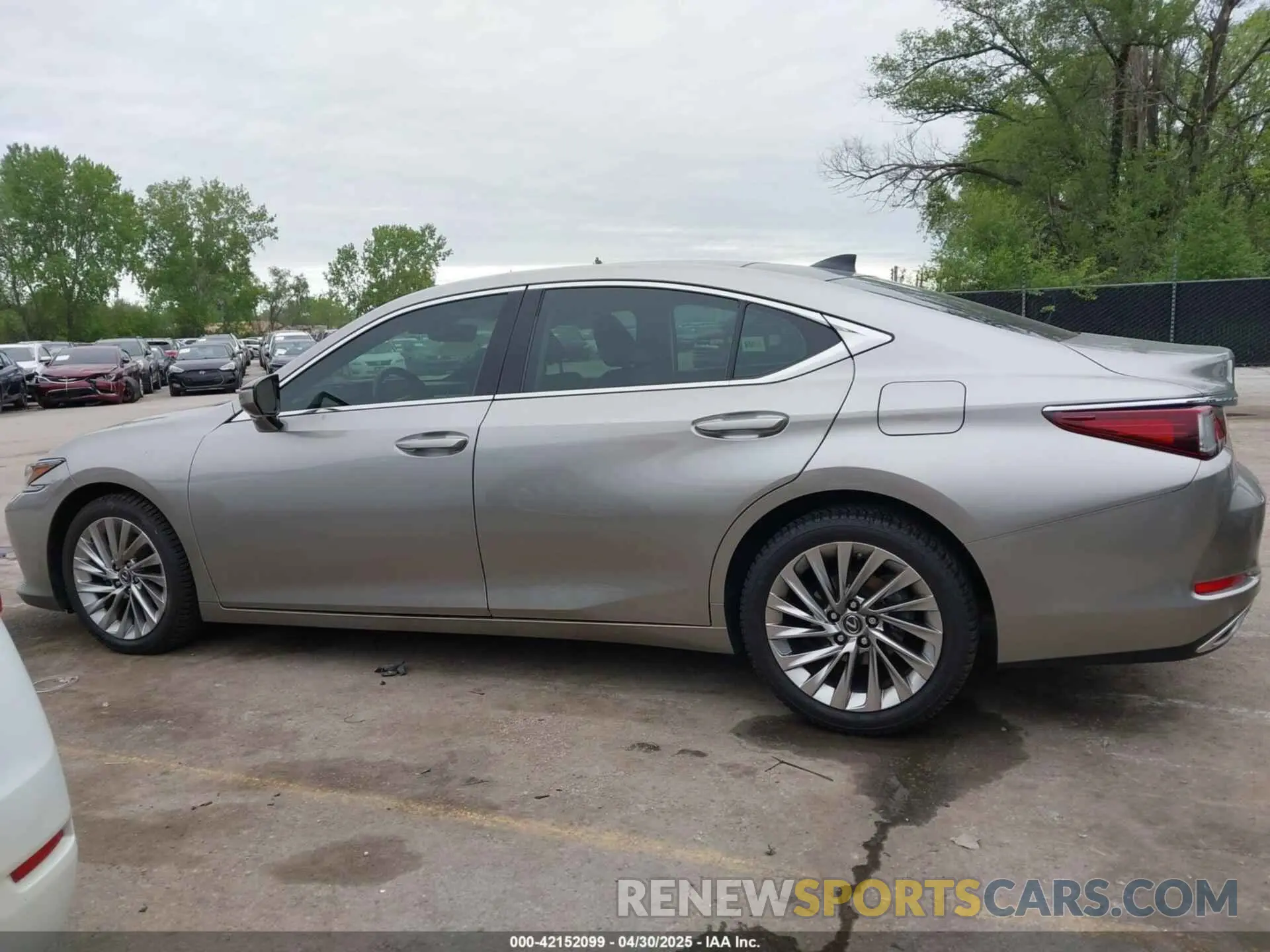 14 Фотография поврежденного автомобиля 58ABZ1B14KU030063 LEXUS ES 350 2019