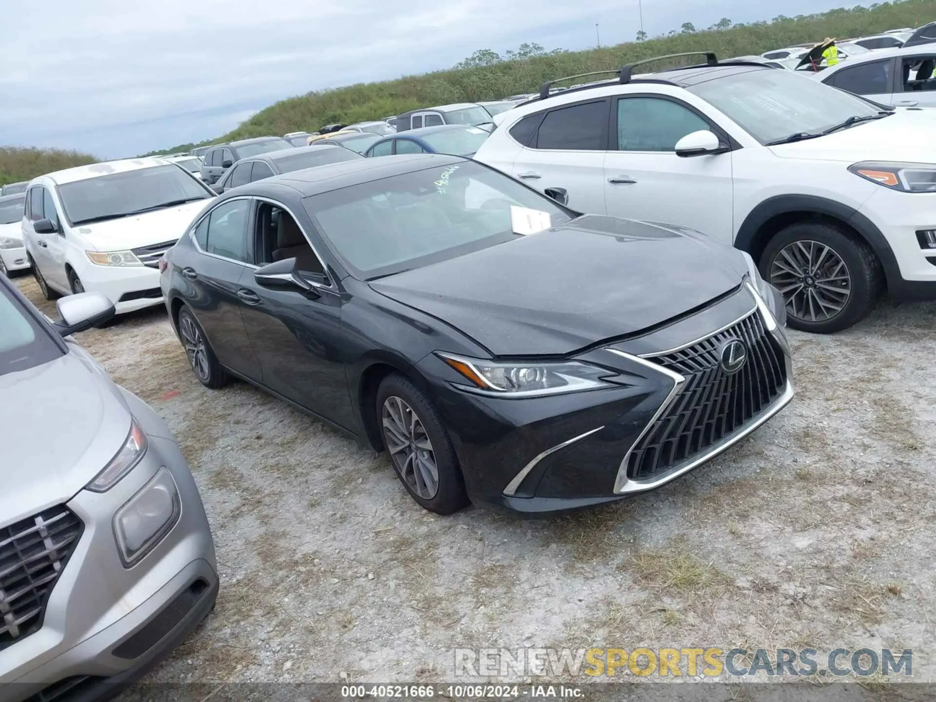 1 Фотография поврежденного автомобиля 58ACZ1B17PU139452 LEXUS ES 350 2023
