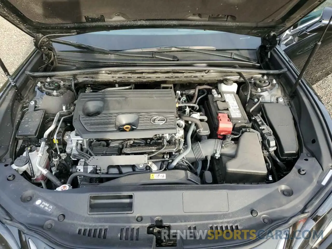 11 Photograph of a damaged car 58AD11D18PU011858 LEXUS ES250 2023